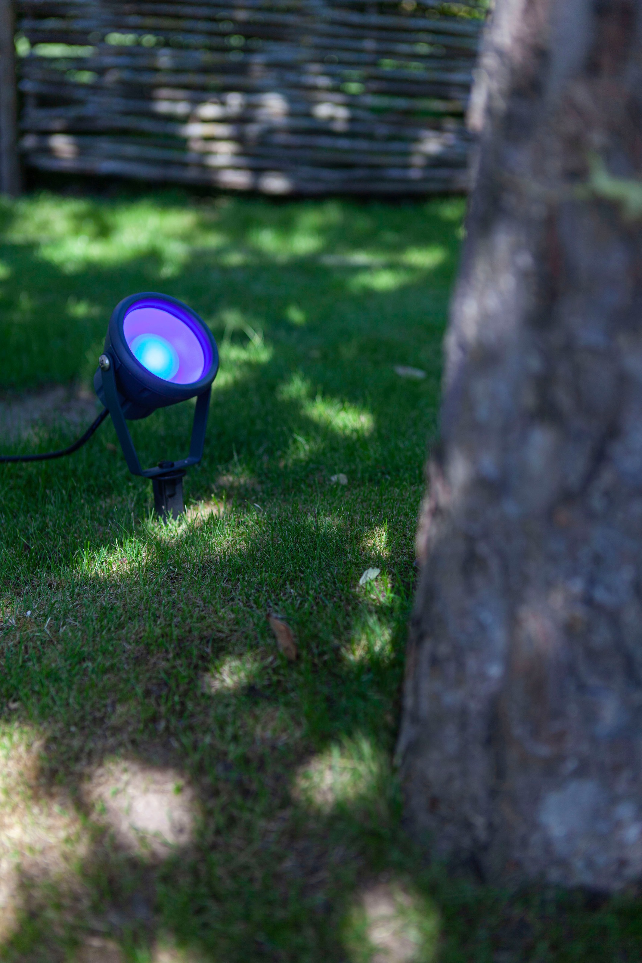 LUTEC Smarte LED-Leuchte »MINI LETO«, kaufen | Smart-Home BAUR