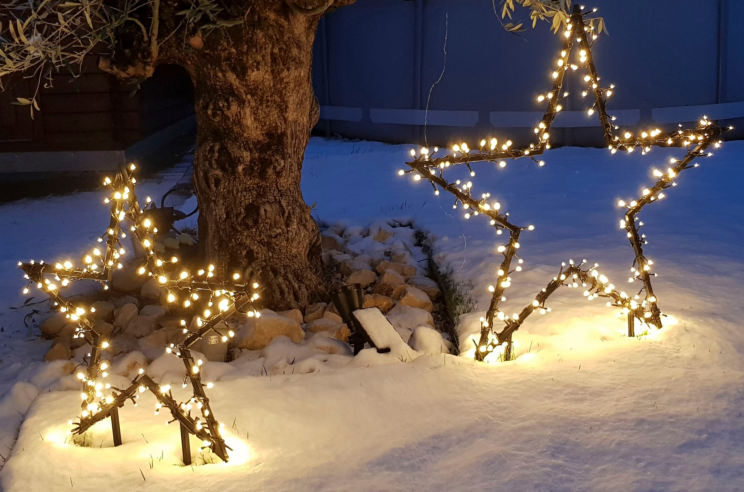 Star-Max LED Stern »Weihnachtsstern, Weihnachtsdeko«, Gartenstecker mit LED- Beleuchtung | BAUR