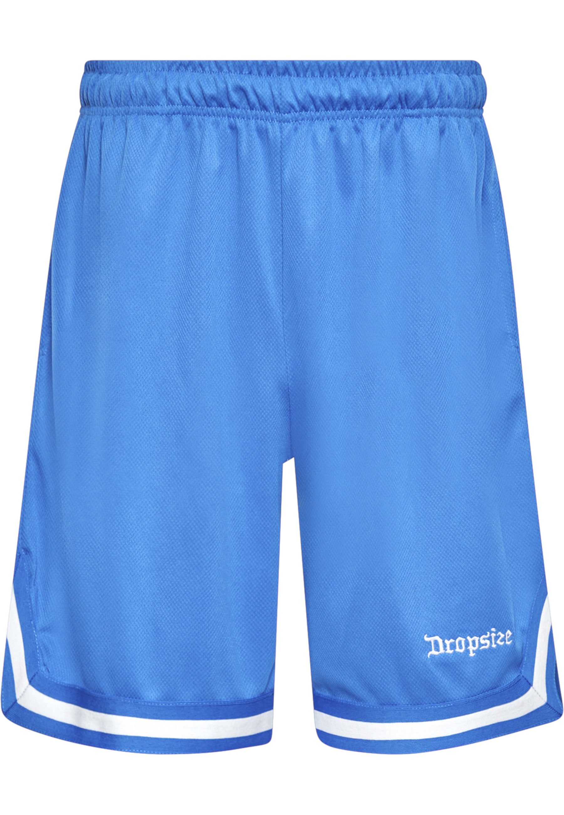Dropsize "Dropsize Herren Dropsize Logo Mesh Shorts"