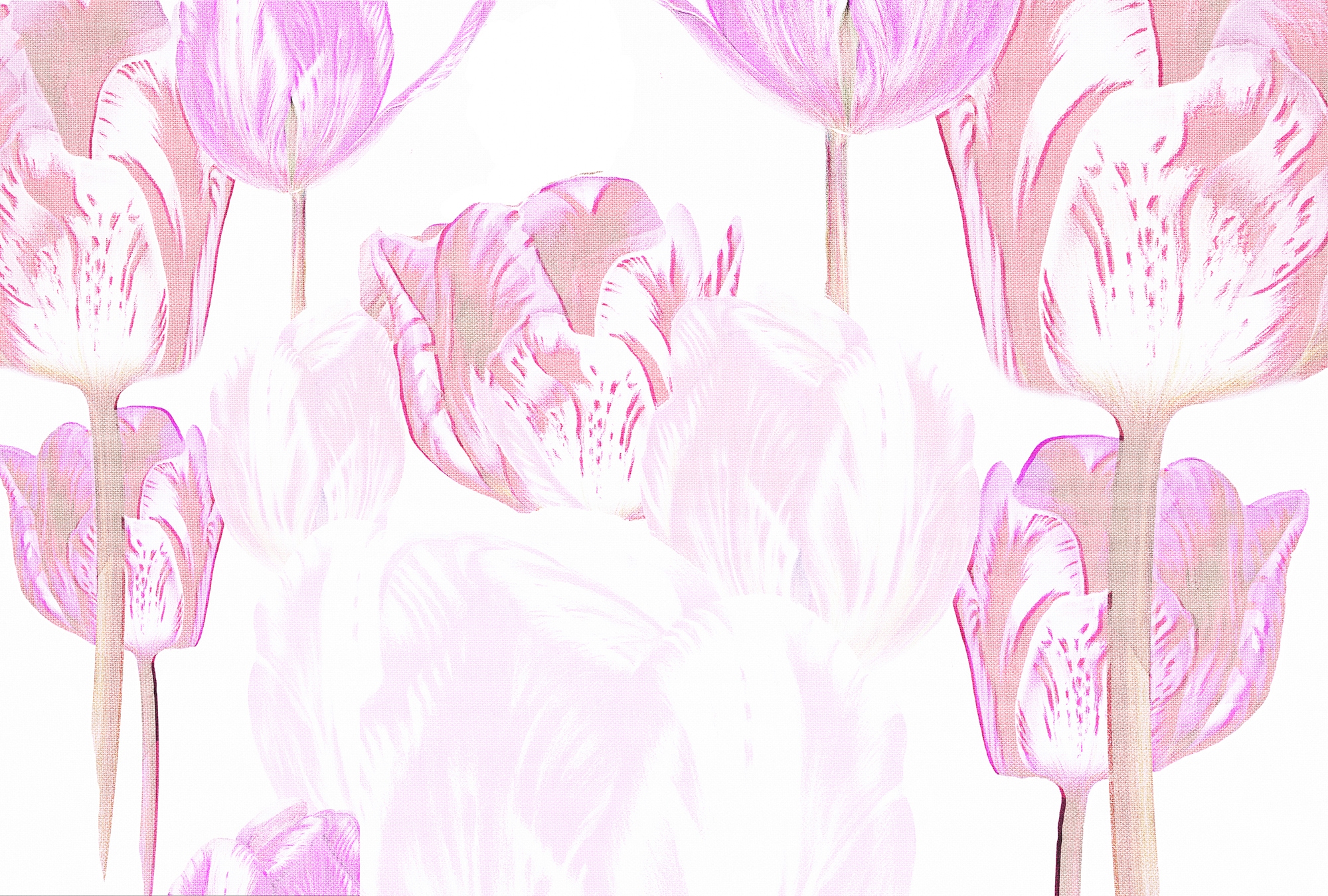 Architects Paper Fototapete "Atelier 47 Tulip Artwork 1" floral glatt Vlies, Wand, Schräge, Decke
