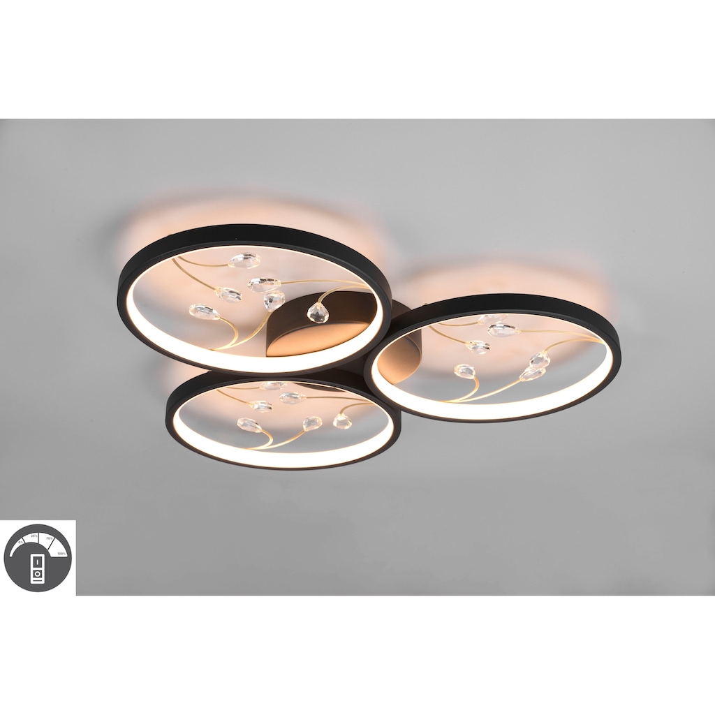 TRIO Leuchten LED Deckenleuchte »Groovy«, 1 flammig-flammig