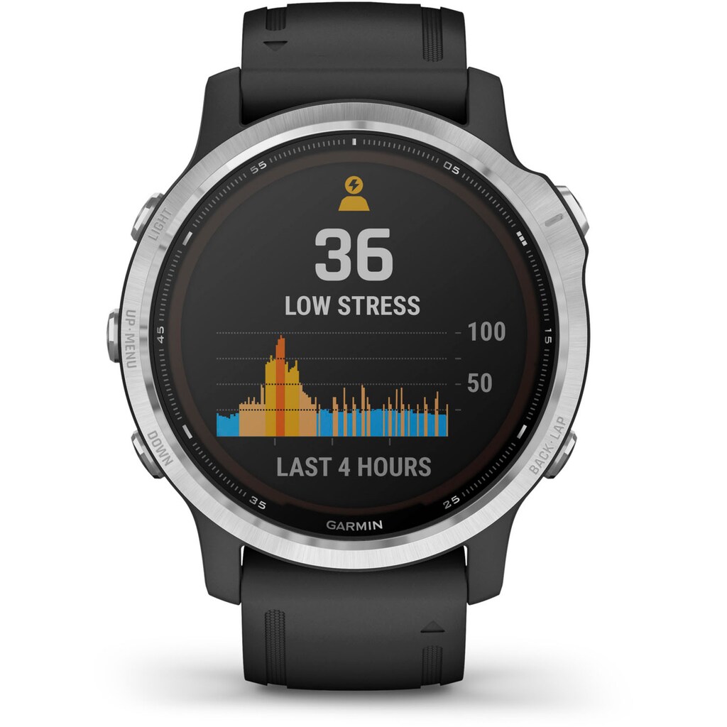 Garmin Smartwatch »FENIX 6S SOLAR«