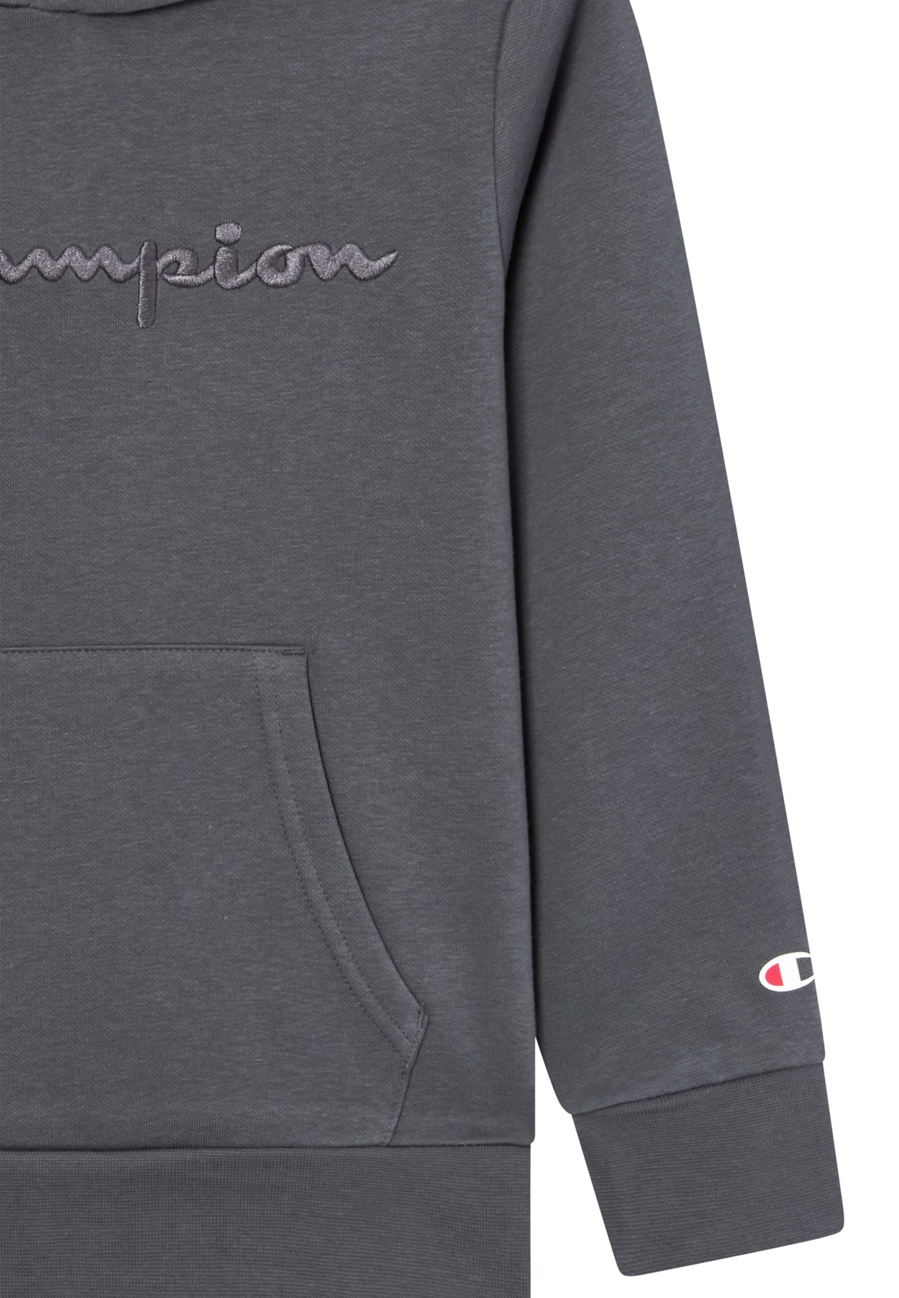 Champion Kapuzensweatshirt »ICONS TONAL Hoodie Large Logo«, (1 tlg.)