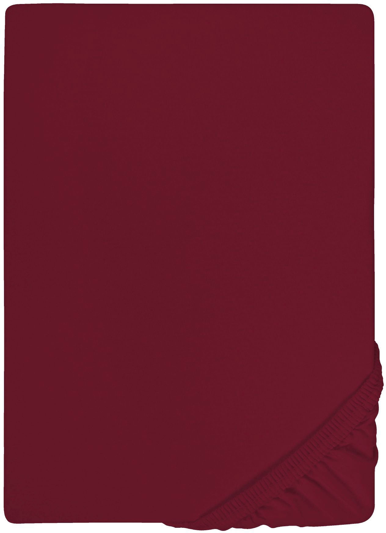 Biberna Spannbettlaken "0077866 Deluxe Jersey-Elastic Spannbetttuch 97% Baumwolle" Jersey mit Elasthan, Rundumgummi, bügelfrei, ab Größe 90 x 190 cm i