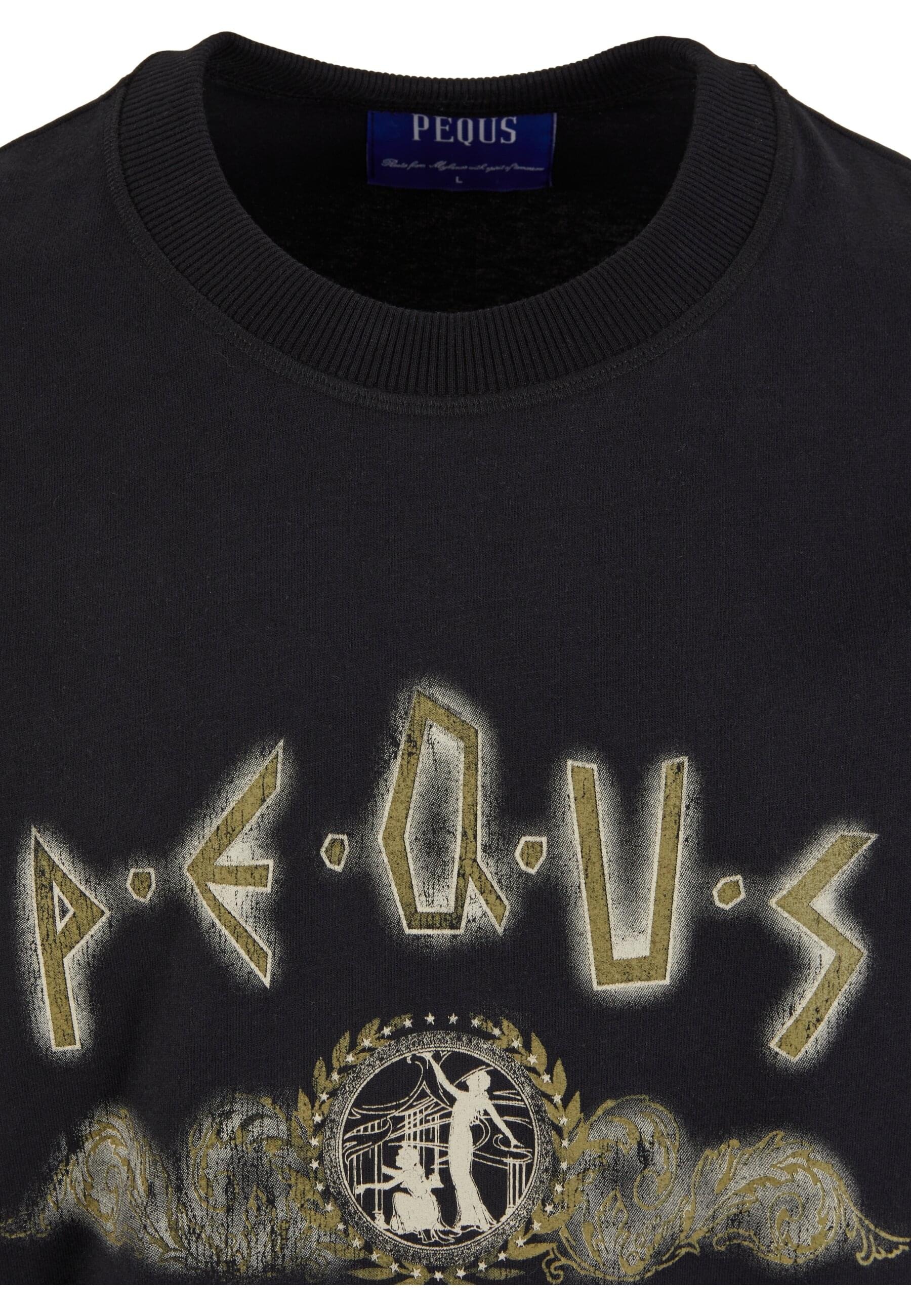PEQUS T-Shirt »PEQUS PEQUS Ancient Painting T-Shirt«, (1 tlg.)