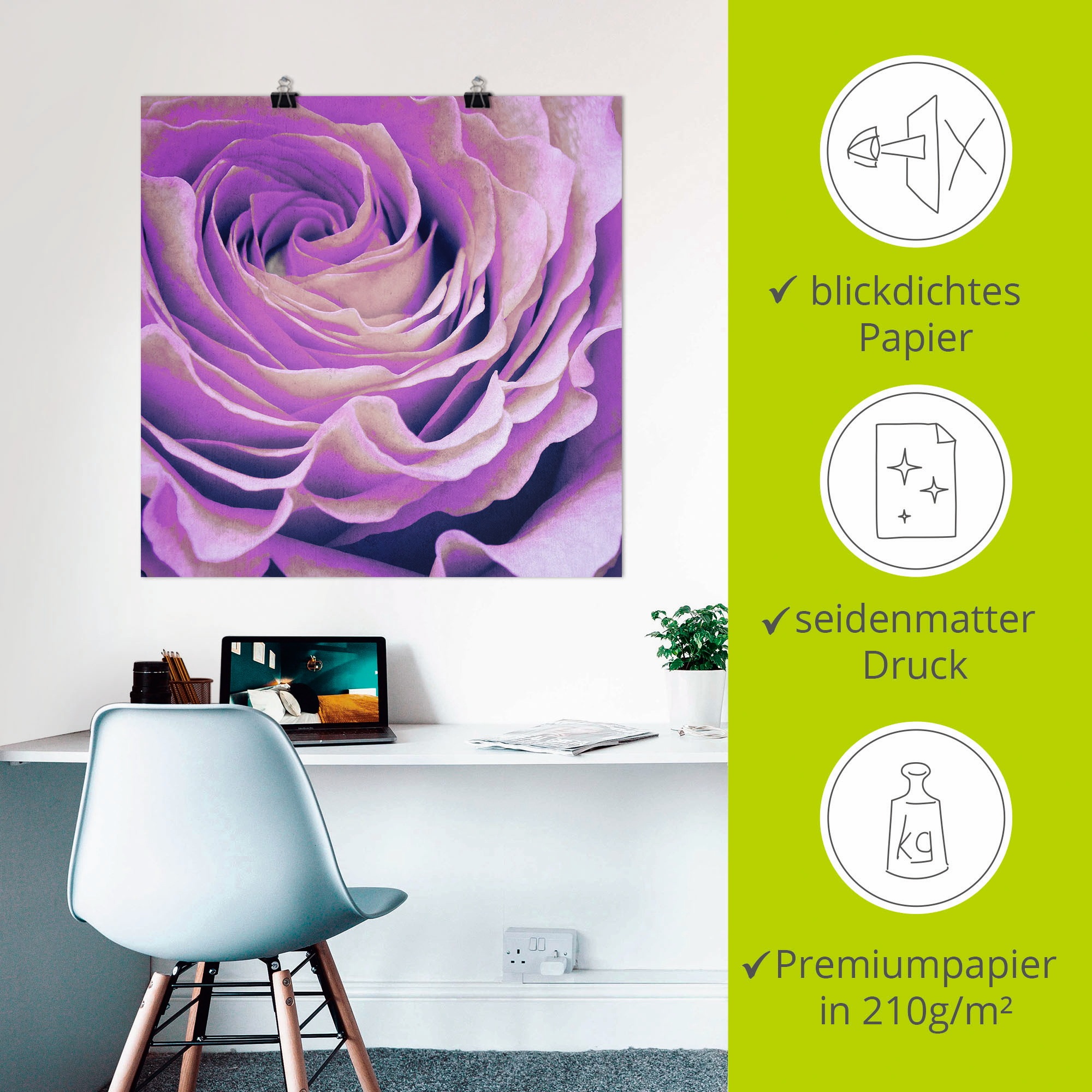Poster ARTLAND "Lila Rose", lila (farbe bild(er): lila), B:50cm H:50cm, Bilder, Poster, ohne Rahmen 3