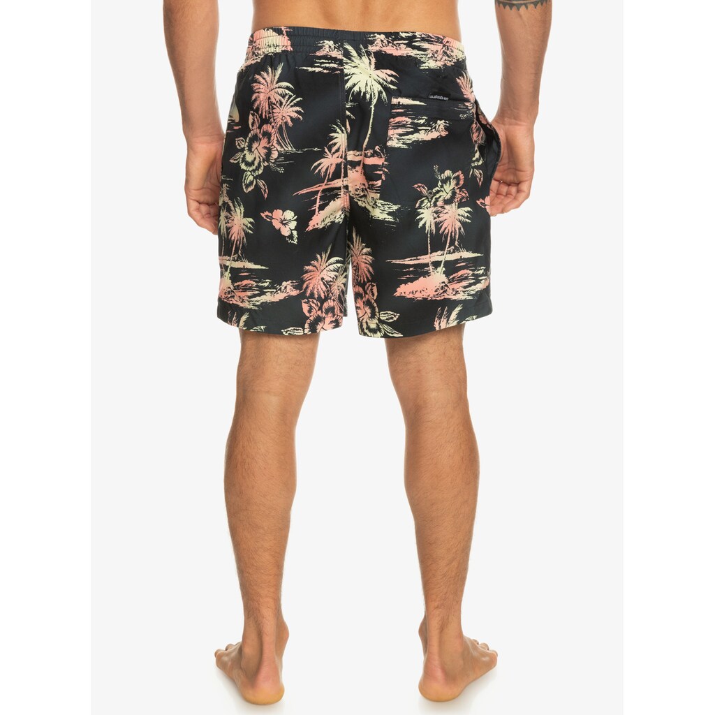 Quiksilver Badeshorts »Everyday Mix 17"«