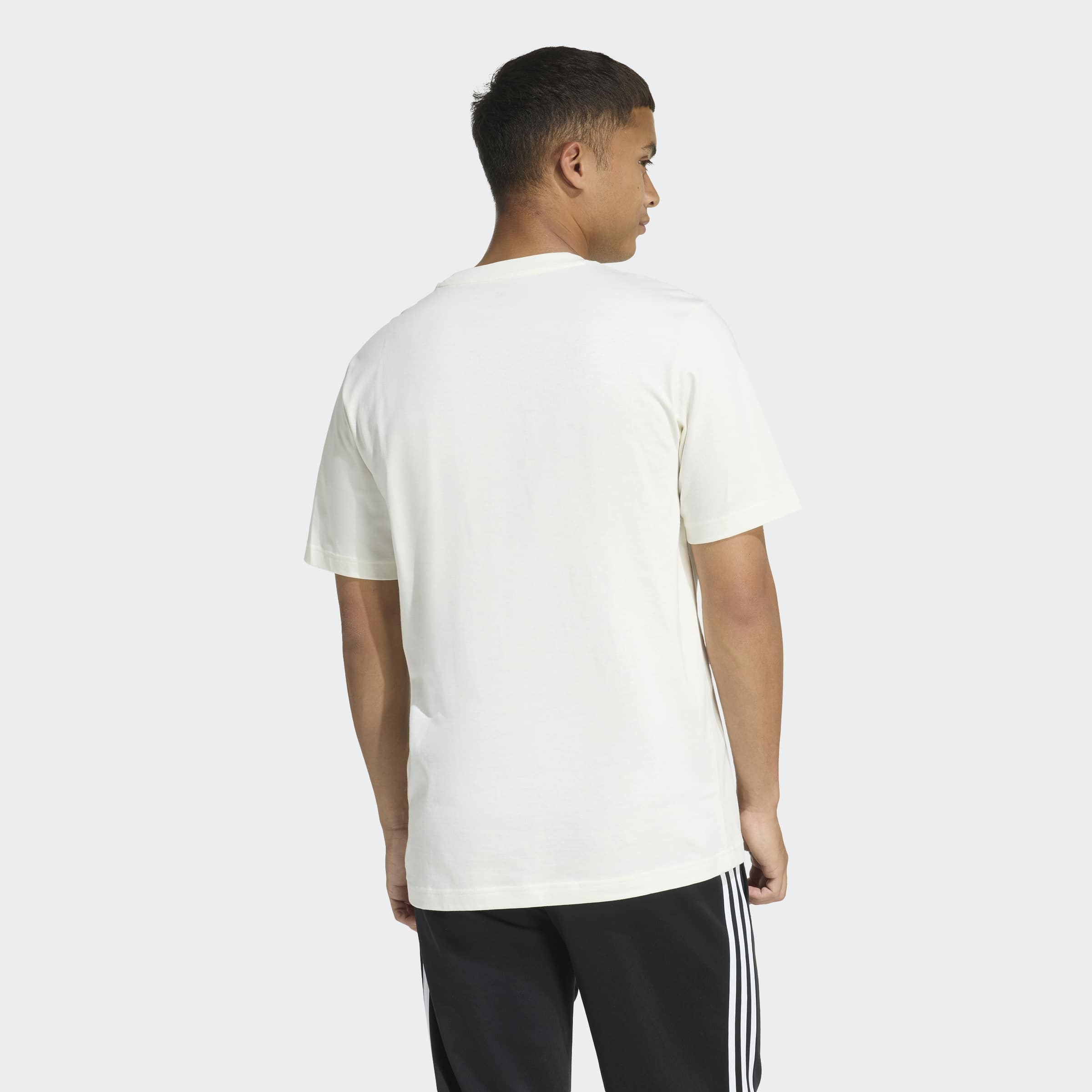 adidas Sportswear T-Shirt "M ED PADEL T" günstig online kaufen