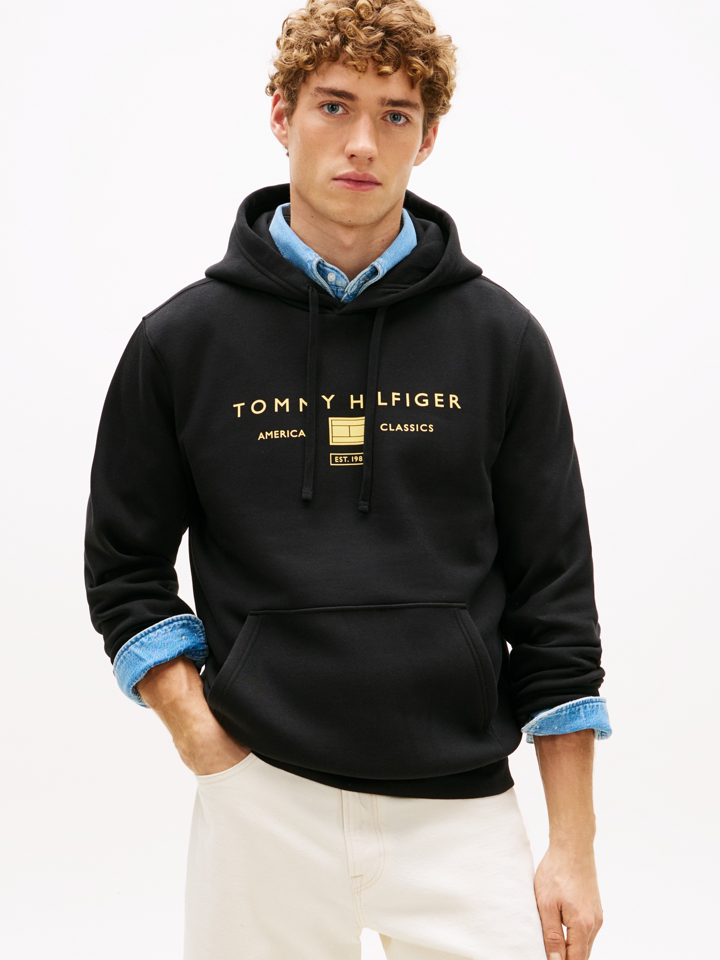 Tommy Hilfiger Hoodie "BRAND LOVE TR MONO STACK"