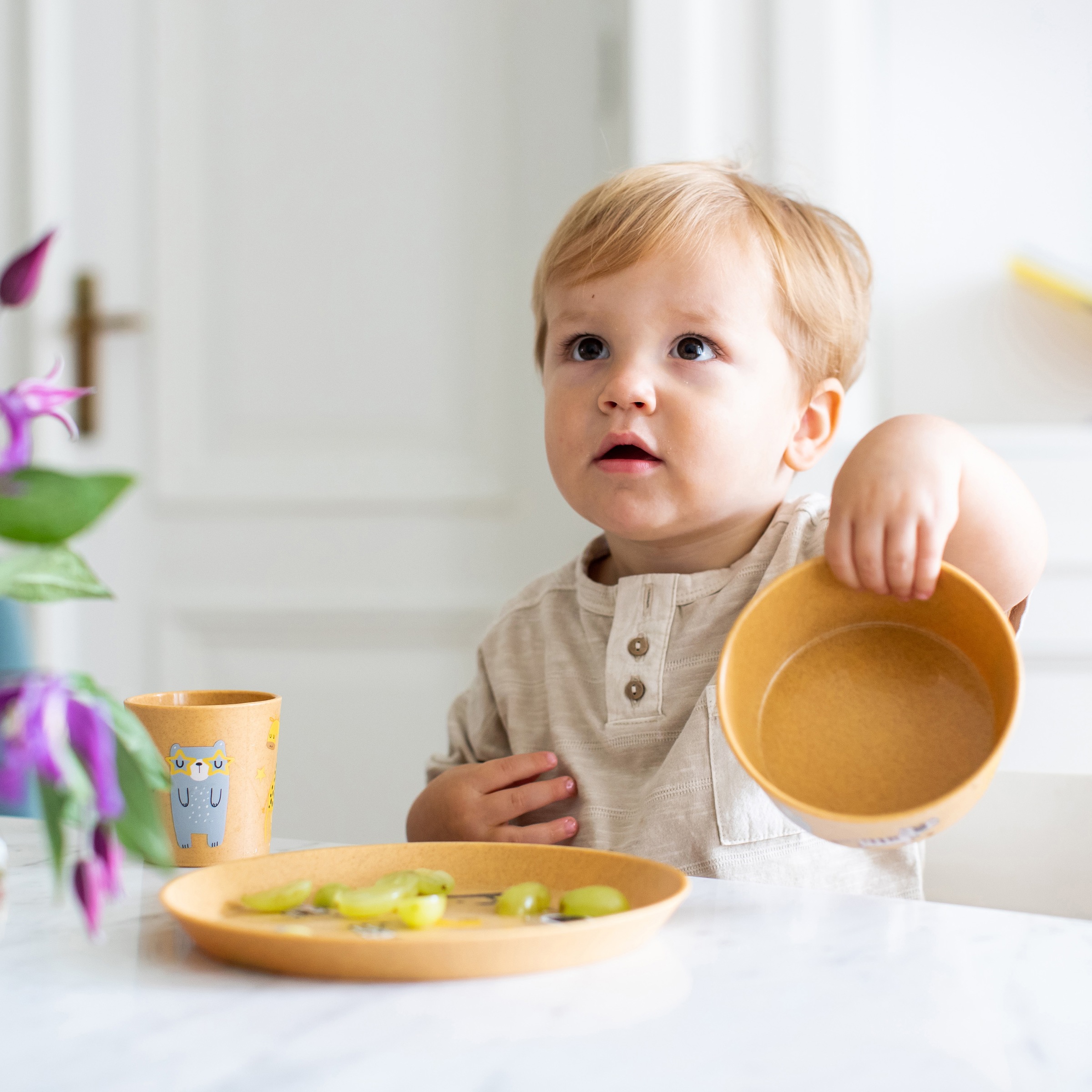 KOZIOL Kinderschale »CONNECT BOWL ZOO«, 4 tlg., aus Kunststoff, 100% recycelbar, 100% made in Germany, 400 ml