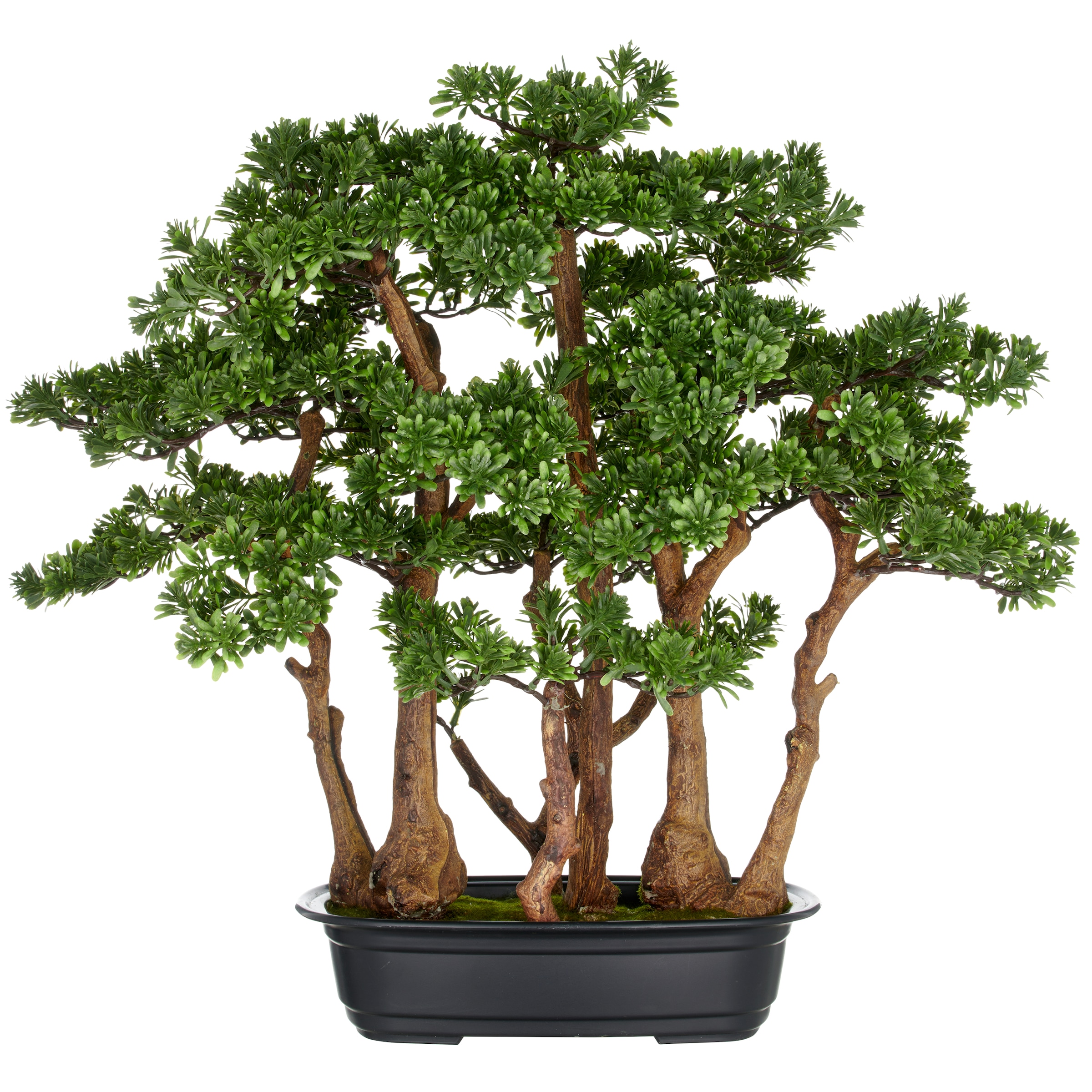 Creativ green Kunstbonsai "Bonsai Teeblatt", mit detailgetreuer Gestaltung günstig online kaufen