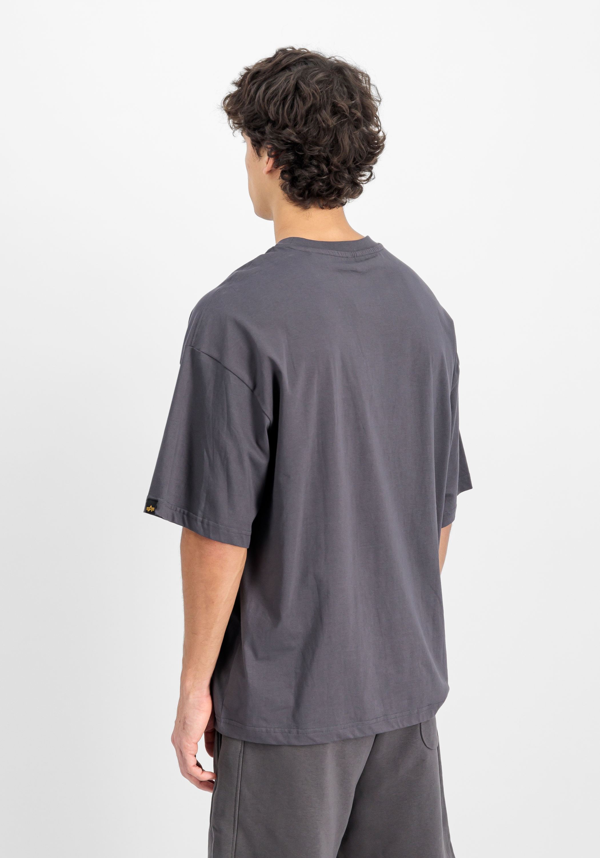 Alpha Industries T-Shirt »Alpha Industries Men - T-Shirts Studio Edition T-Shirt«