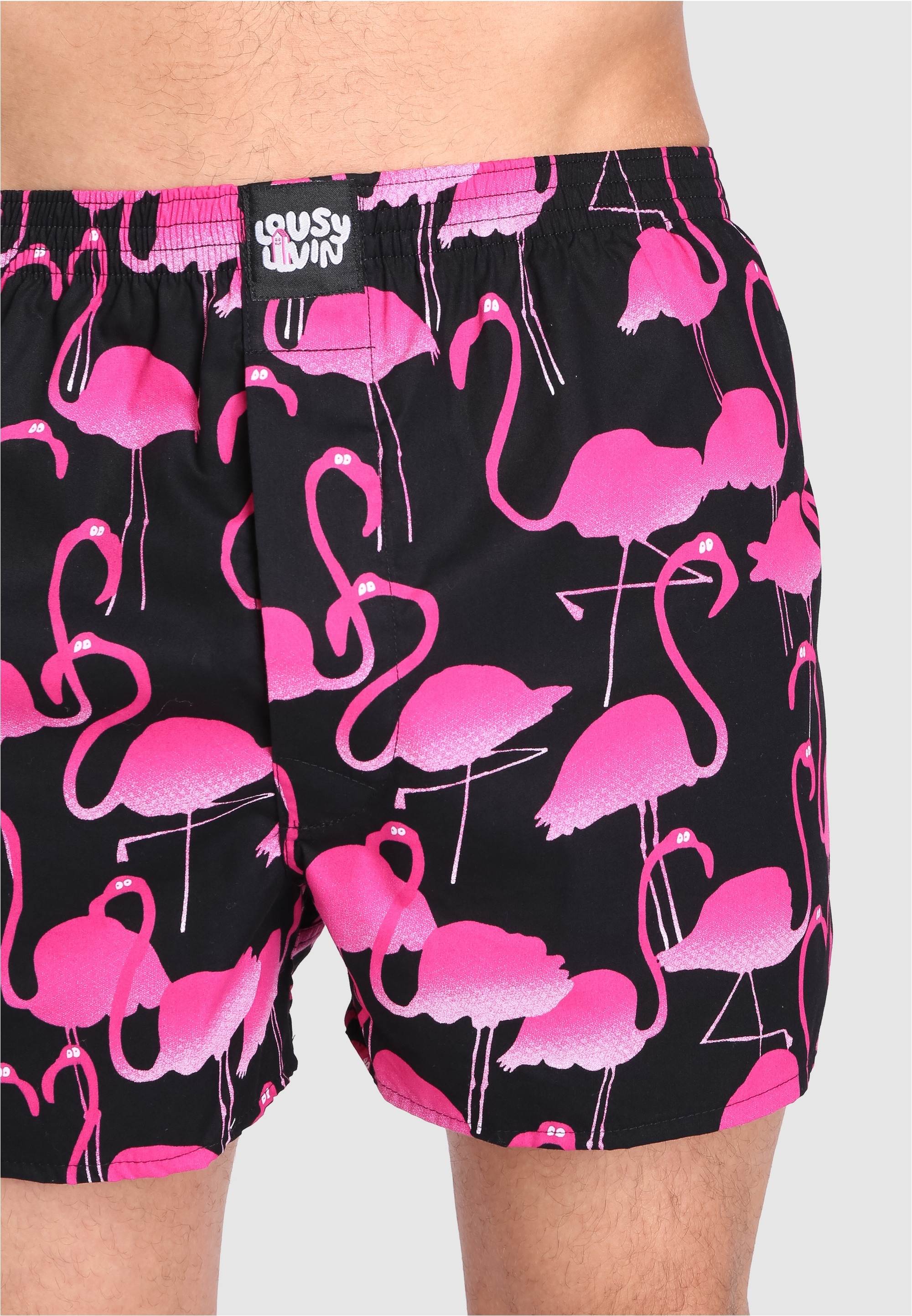 Lousy Livin Boxershorts »Flamingo«, mit trendigem Flamingo-Print