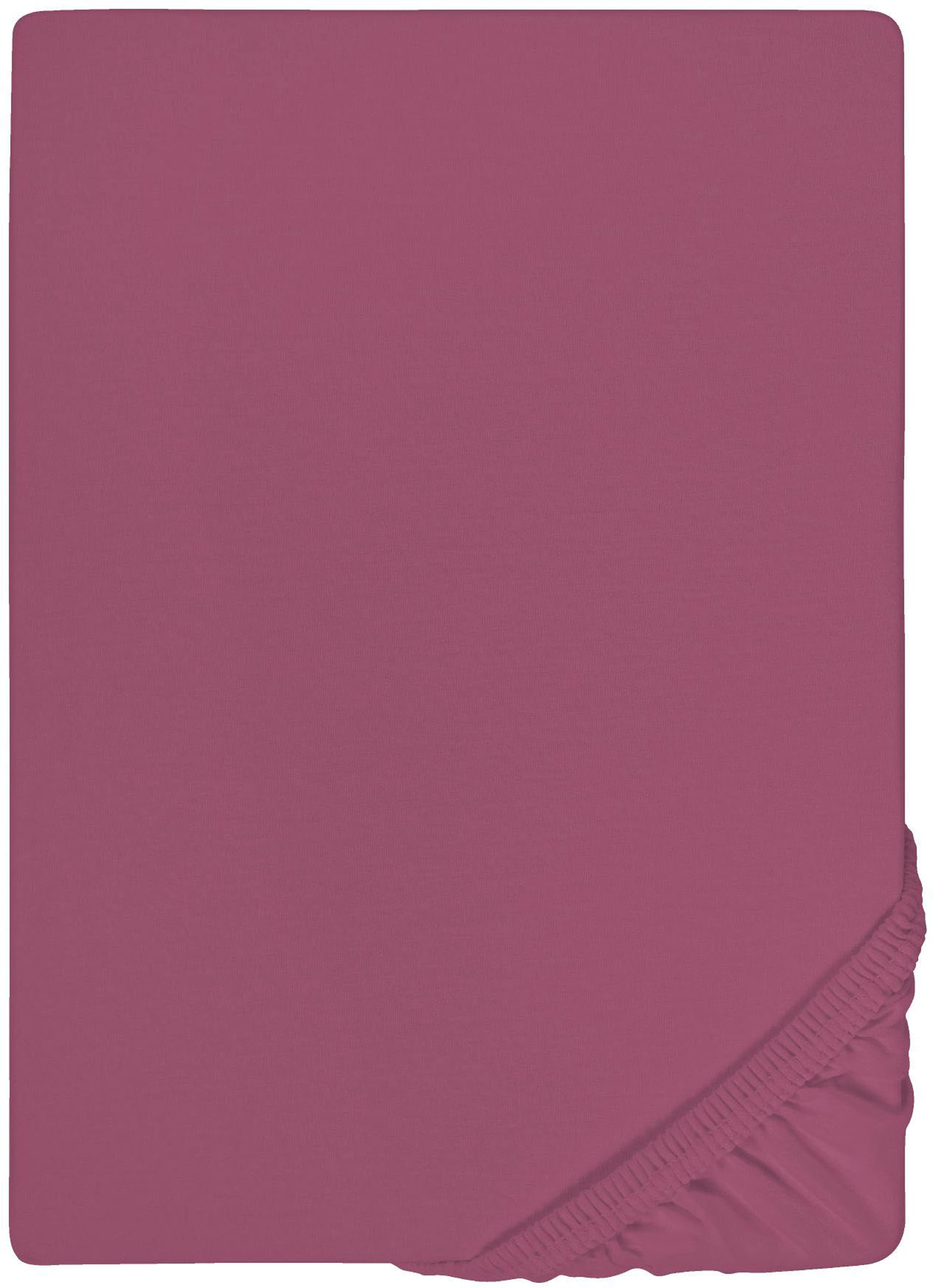 Castell - Markenbettwäsche Spannbettlaken »Jersey in Gr. 90x200, 140x200 oder 180x200 cm«, aus Baumwolle, für Matratzen bis 22 cm Höhe, Bettlaken, Spannbetttuch