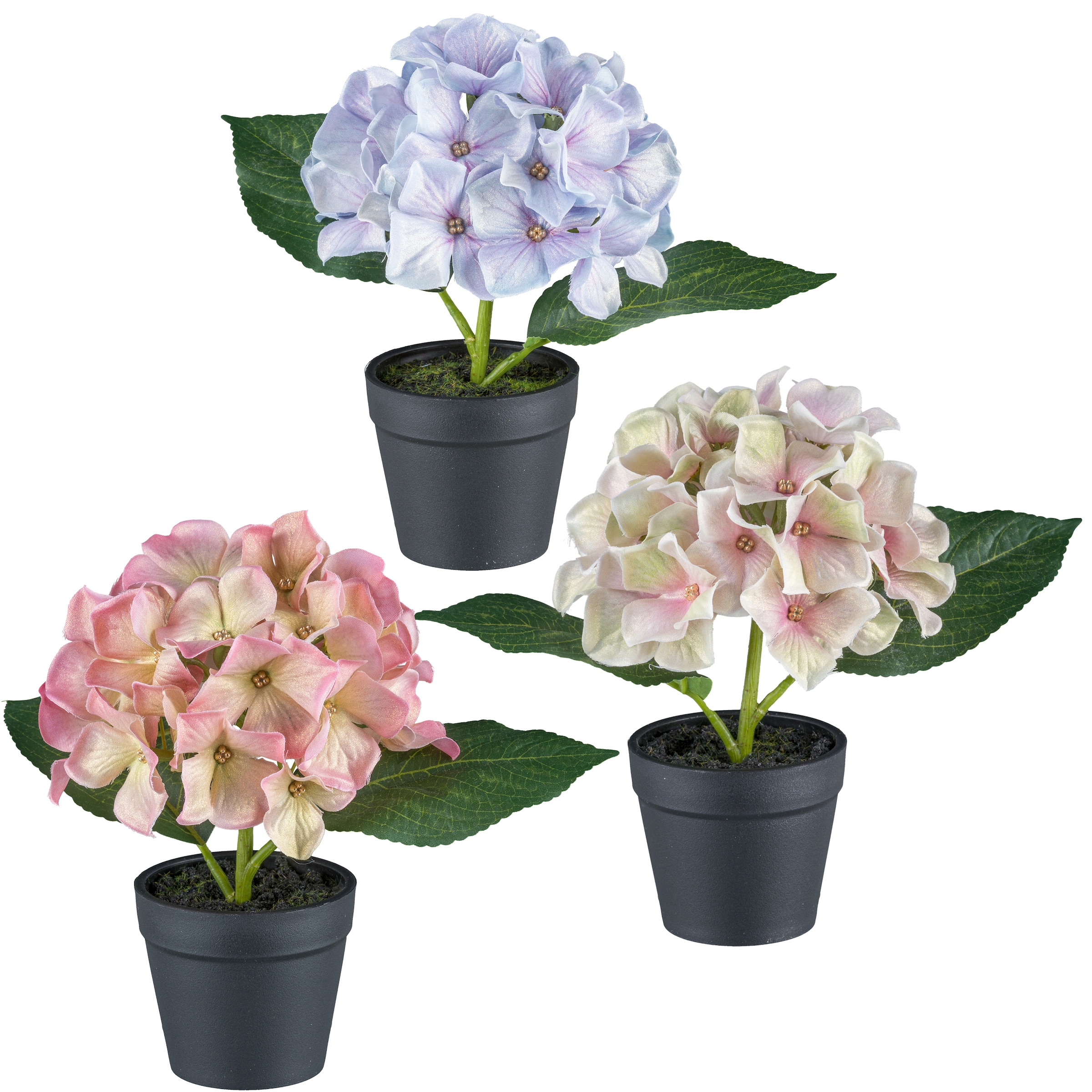 Creativ green Kunstblume "Mini-Hortensie in Pastellfarben", mit Glitzerschi günstig online kaufen