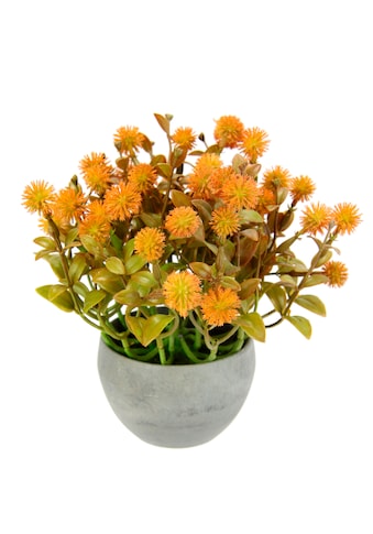 I.GE.A. Kunstpflanze »Margerite im Topf«, Künstliche Blumen Blütenbusch Busch... kaufen