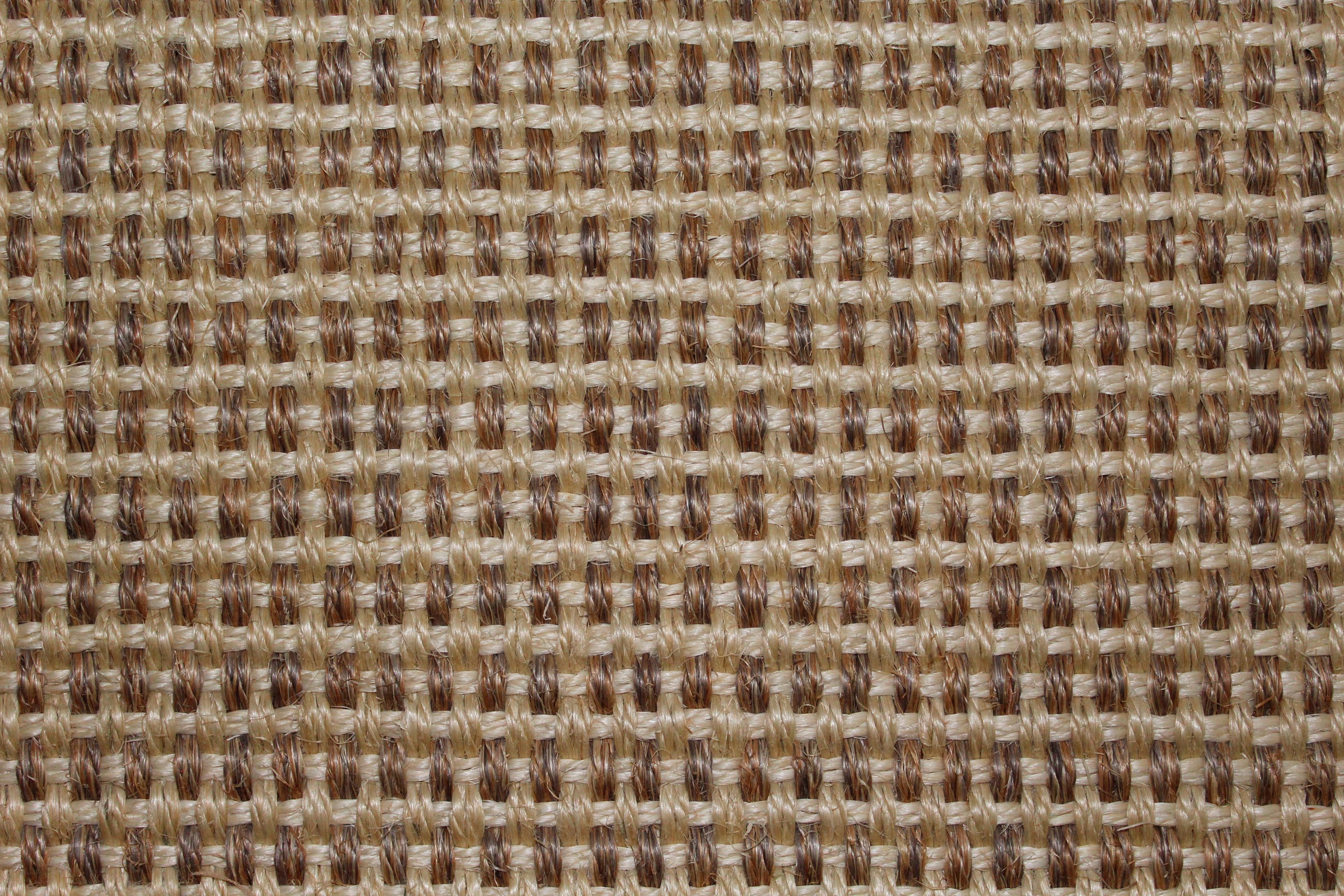 Sisalteppich DEKOWE "Brasil", beige (natur), B:240cm H:6mm L:340cm, Sisal, Teppiche, Sisalteppich, Flachgewebe, Obermaterial: 100% Sisal, mit Bordüre, Wohnzimmer 3