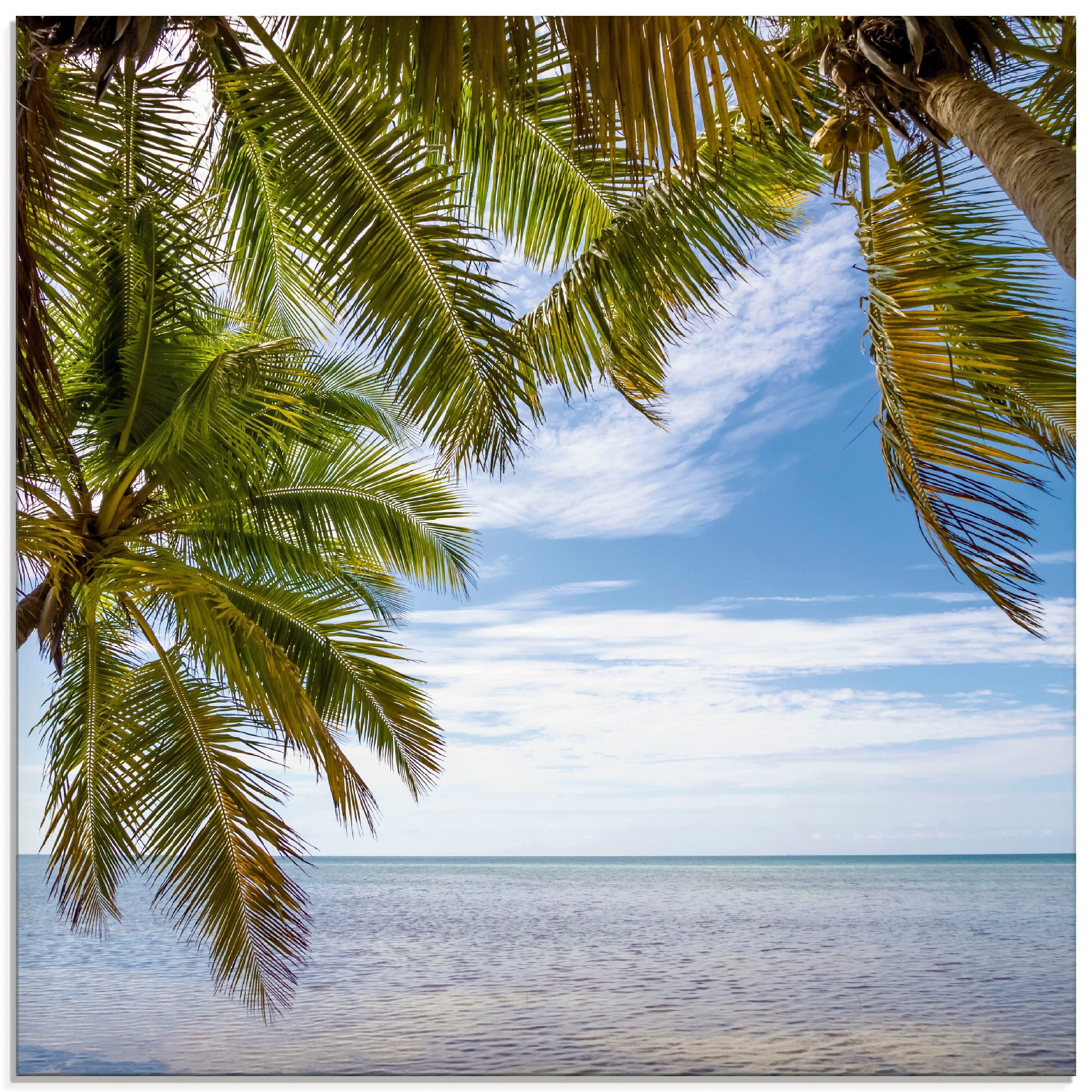 Artland Glasbild "Florida Keys Das Meer", Bäume, (1 St.), in verschiedenen Größen