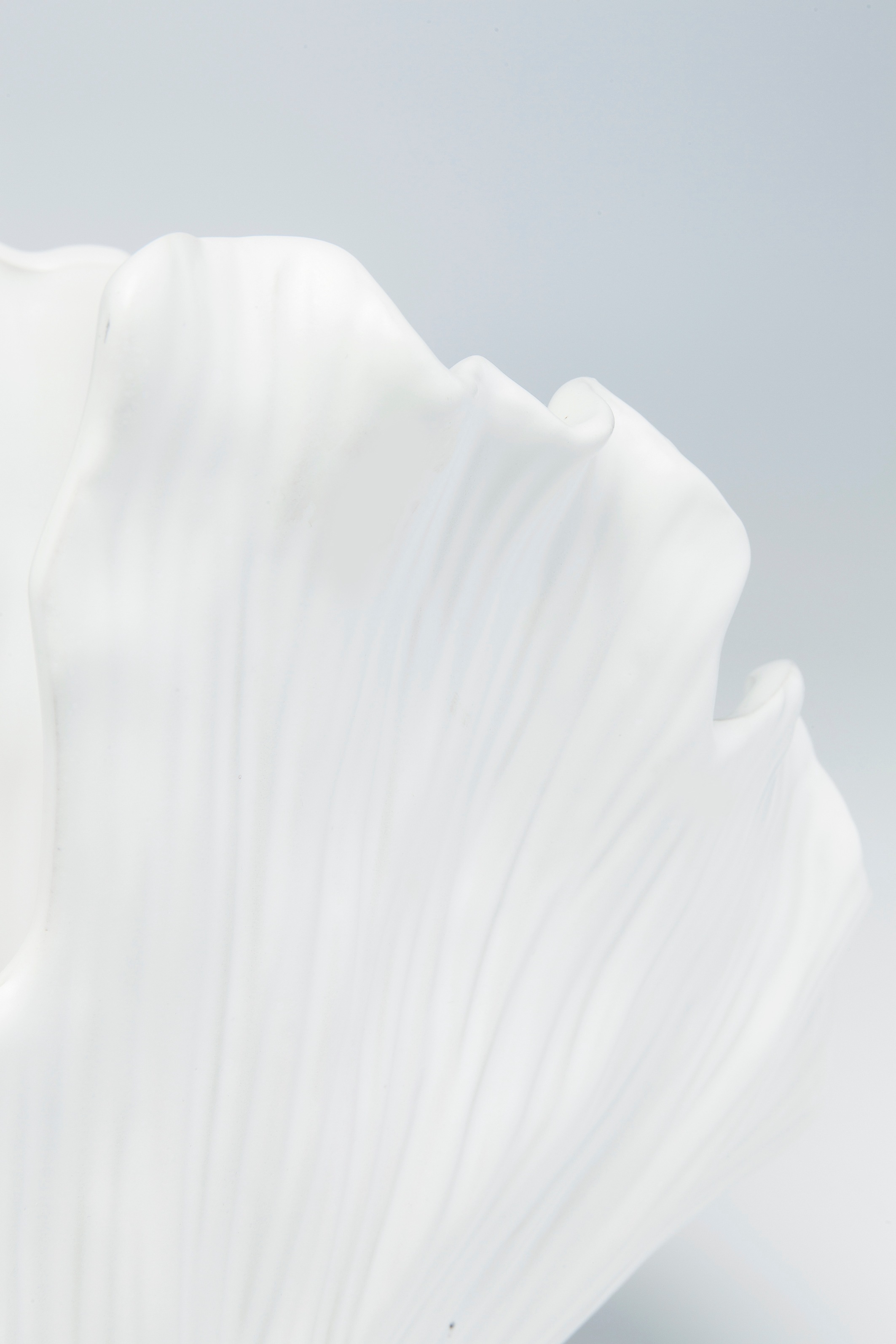 Kare Design Tischvase »Vase Ginkgo Elegance«