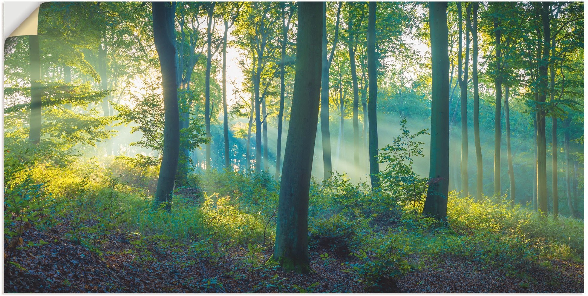 Artland Wandbild "Wald Panorama", Waldbilder, (1 St.), als Alubild, Outdoorbild, Leinwandbild, Poster, Wandaufkleber