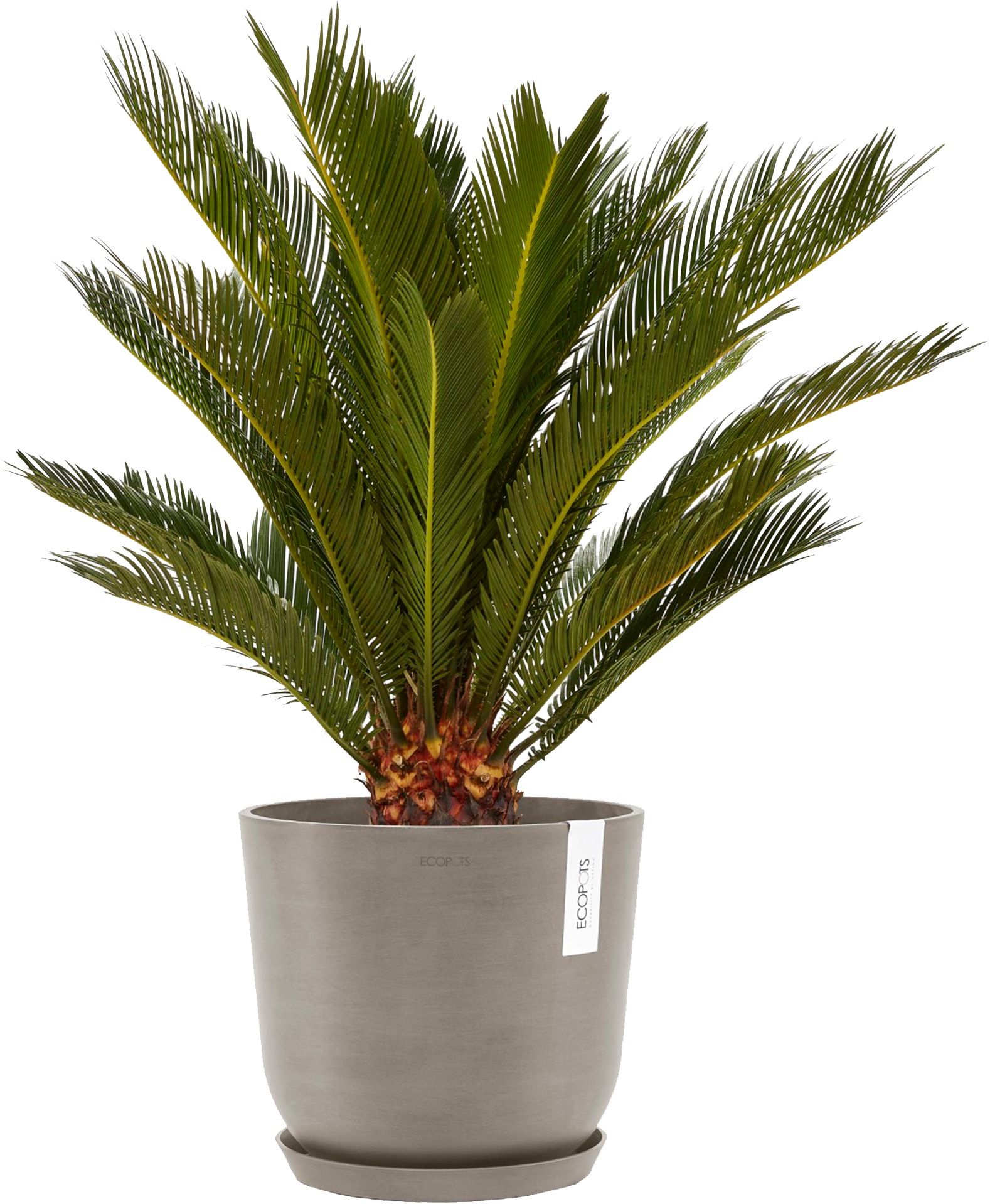 ECOPOTS Blumentopf »Oslo 25 Taupe«, für innen und außen: frostsicher, bruchsicher und lichtbeständig