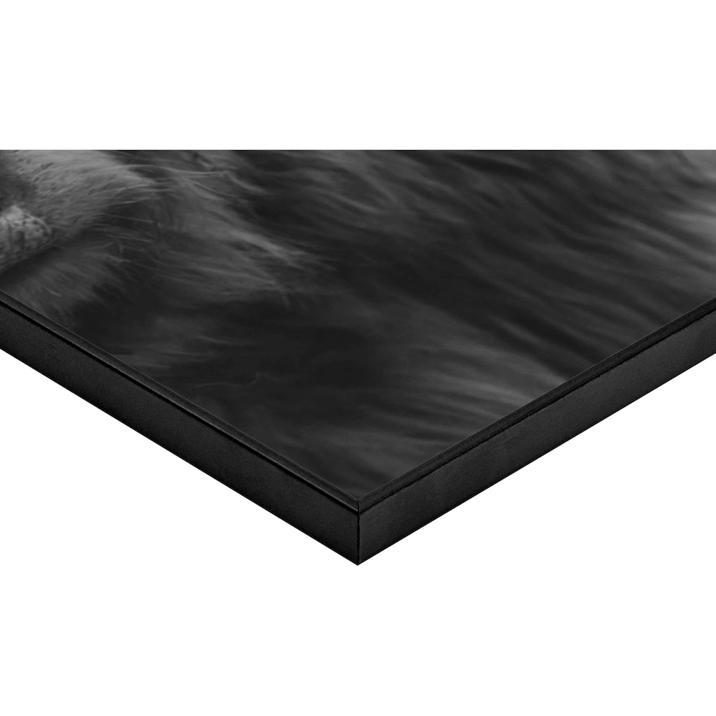 Reinders! Wandbild »Slim Frame Black 50x70 Highlander«