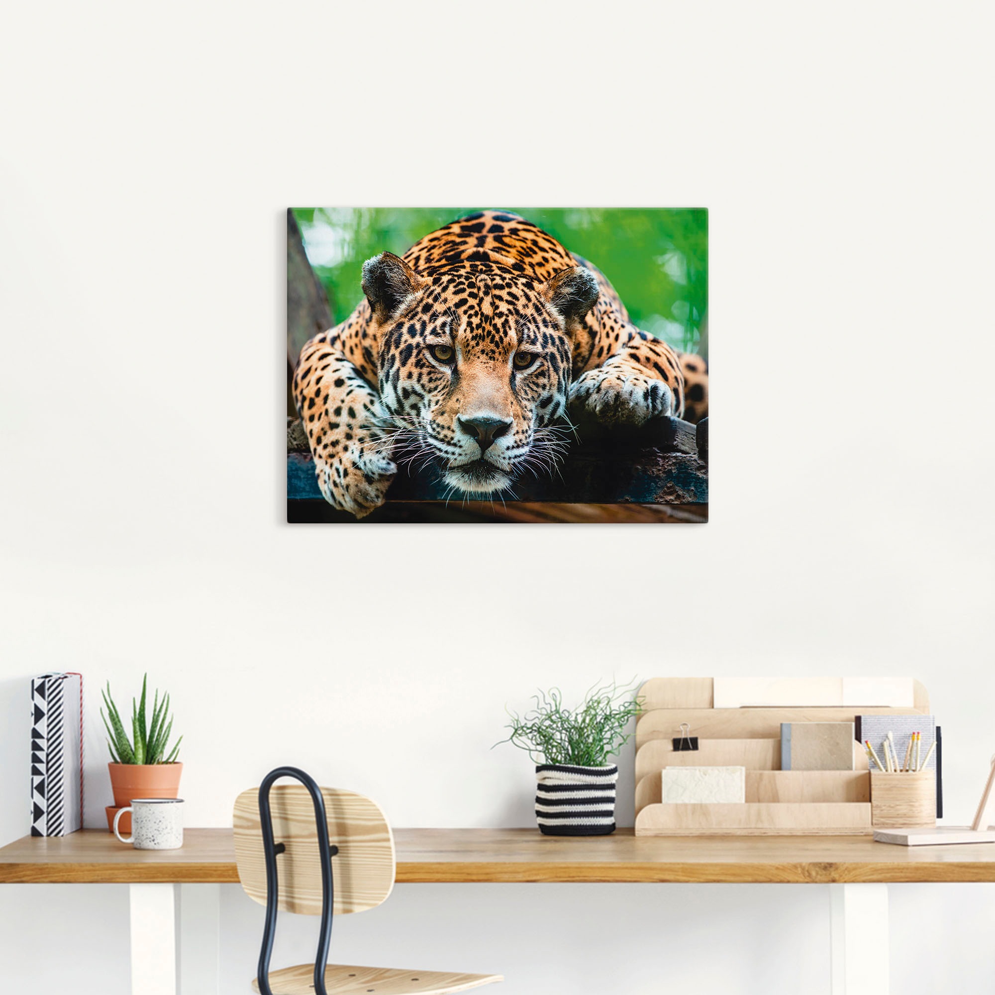 Artland Wandbild "Südamerikanischer Jaguar" Wildtiere 1 Stk. tlg. als Alubi günstig online kaufen