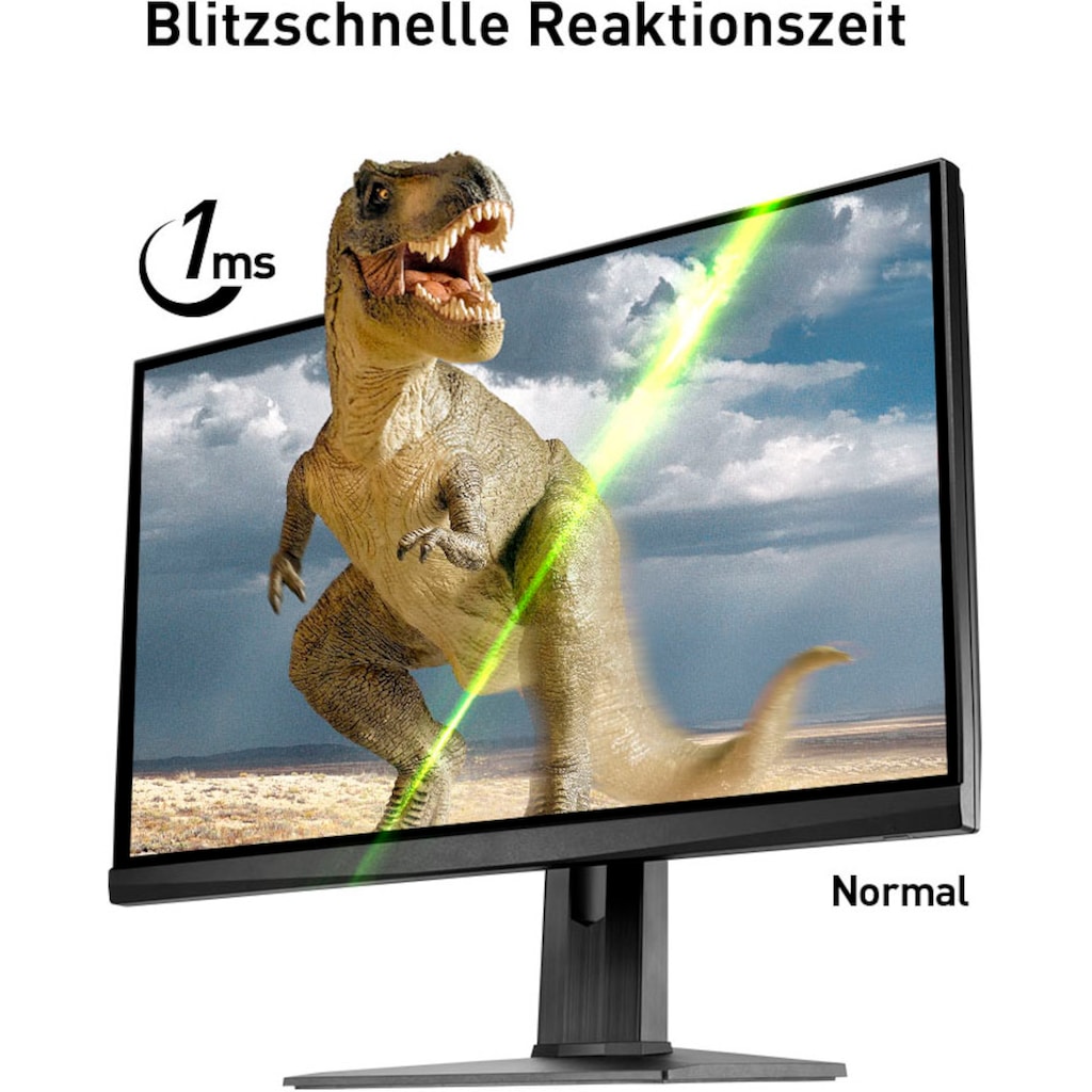 MSI Gaming-LED-Monitor »Optix MAG251RX«, 62,2 cm/24,5 Zoll, 1920 x 1080 px, Full HD, 1 ms Reaktionszeit, 240 Hz