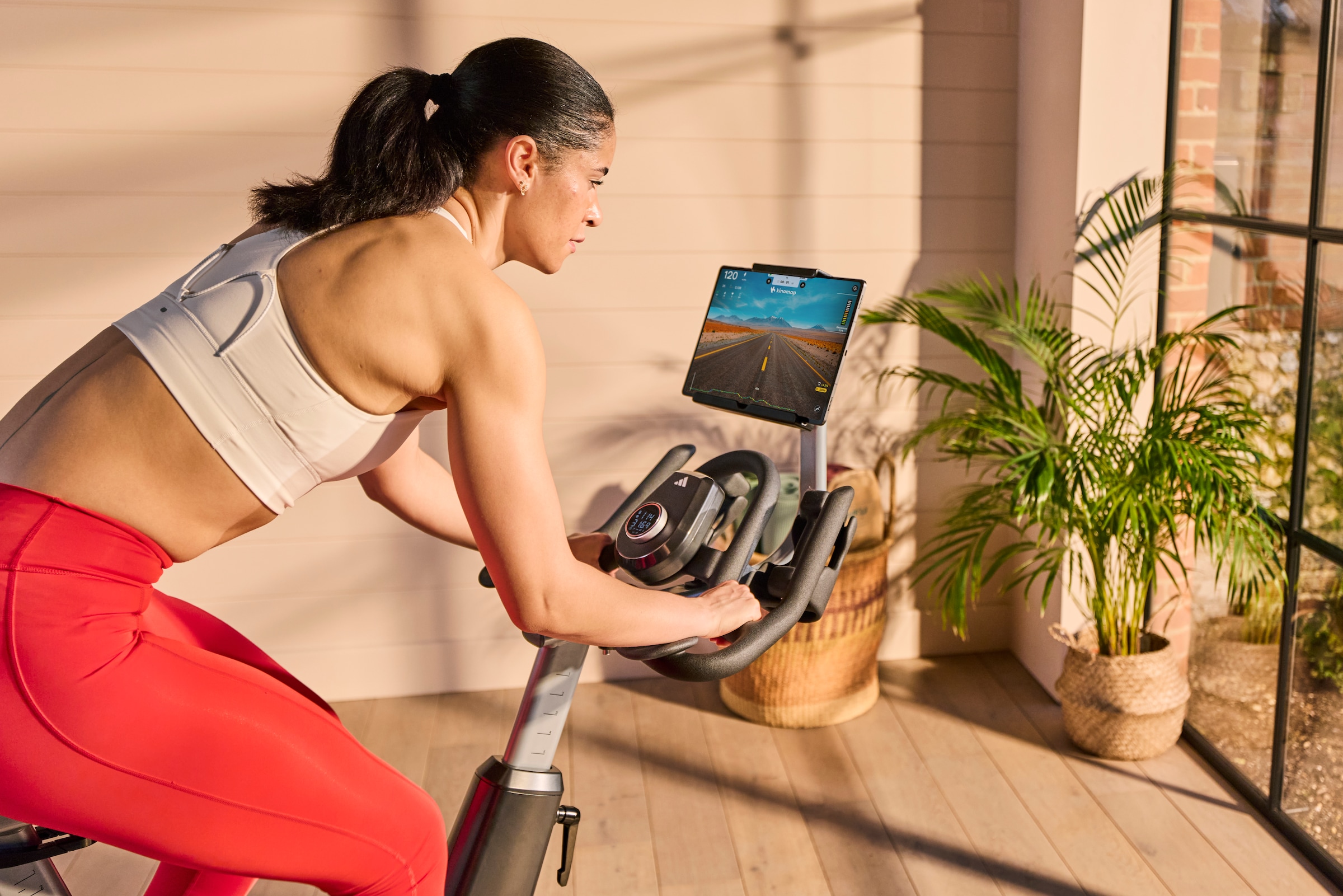 adidas Performance Speedbike »adidas C-700 Sprint Bike – 32 Widerstandsstufen« 32 Widerstandsstufen, kompatibel mit Zwift und Kinomap