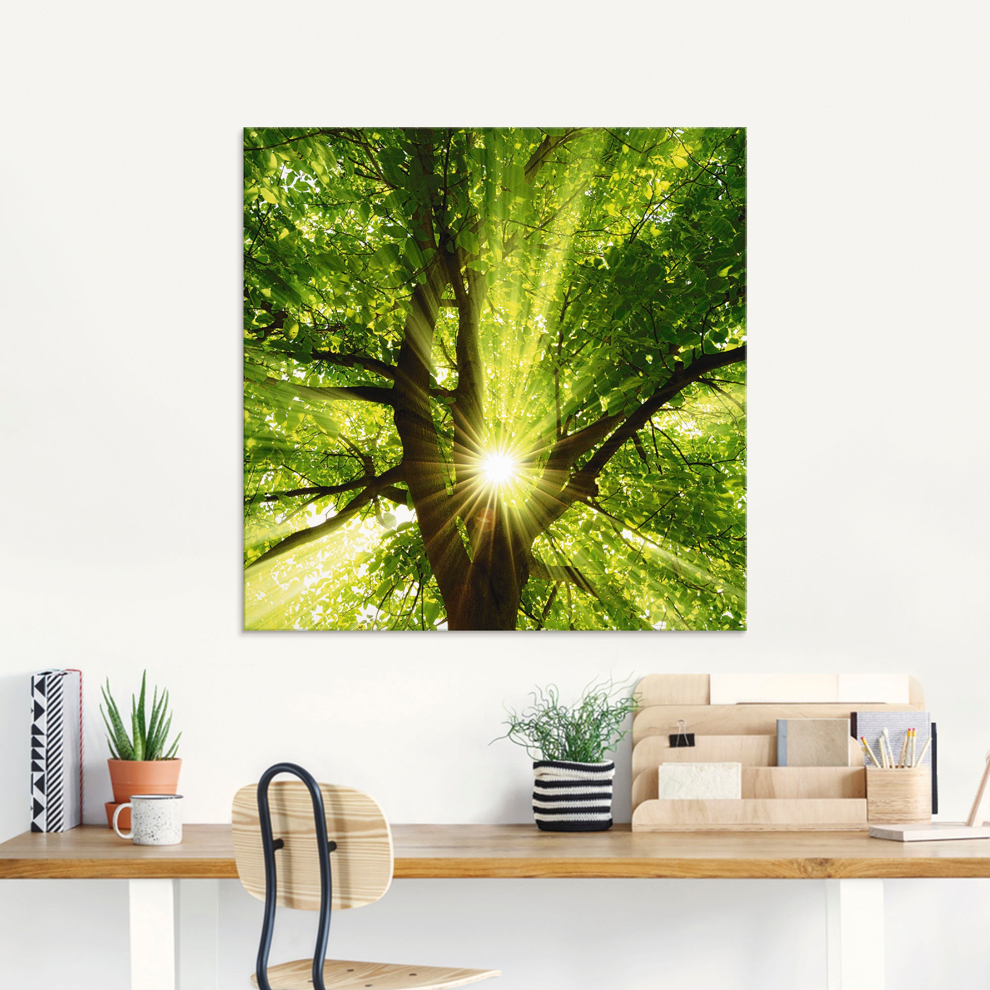 Artland Glasbild "Sonne strahlt explosiv durch den Baum" Bäume 1 Stk. tlg. günstig online kaufen