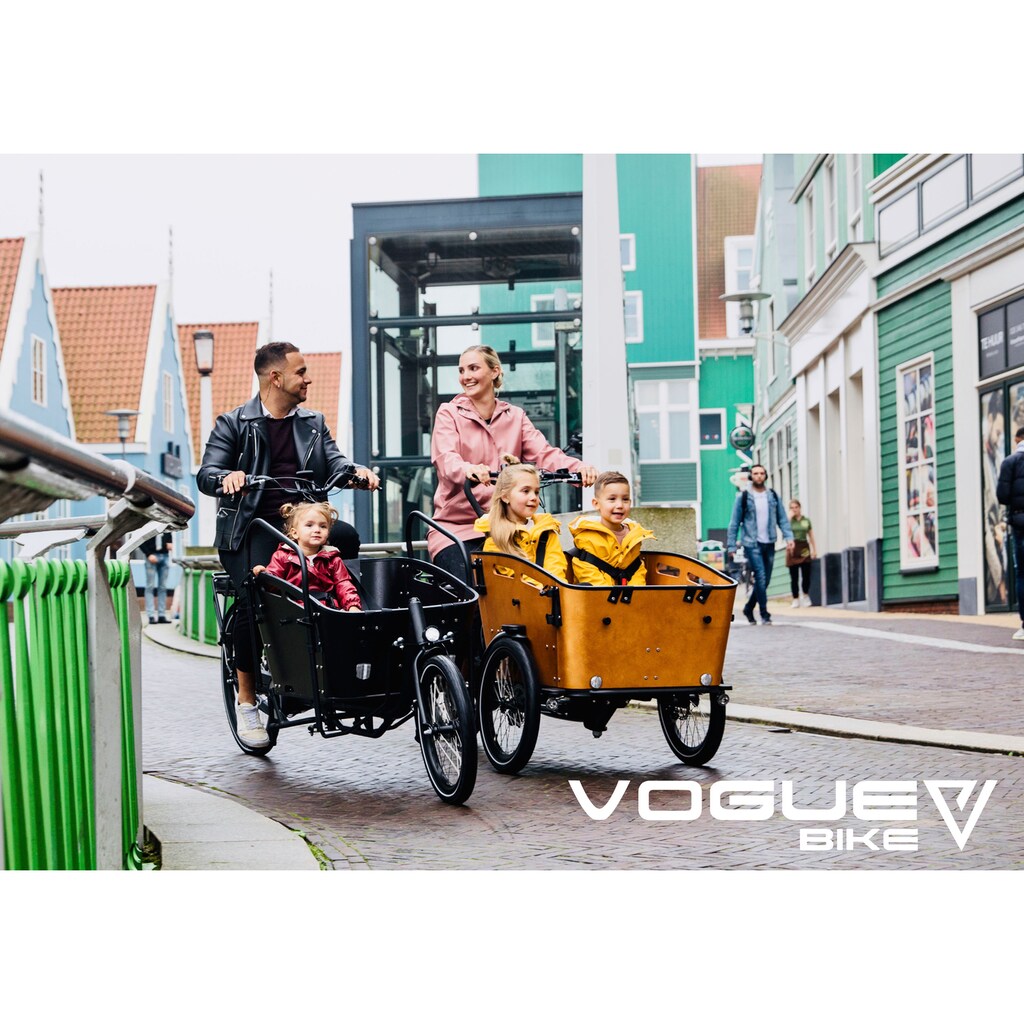 VOGUE BIKE E-Bike »Carry 2«, 8 Gang, Shimano, Nexus, Mittelmotor 250 W