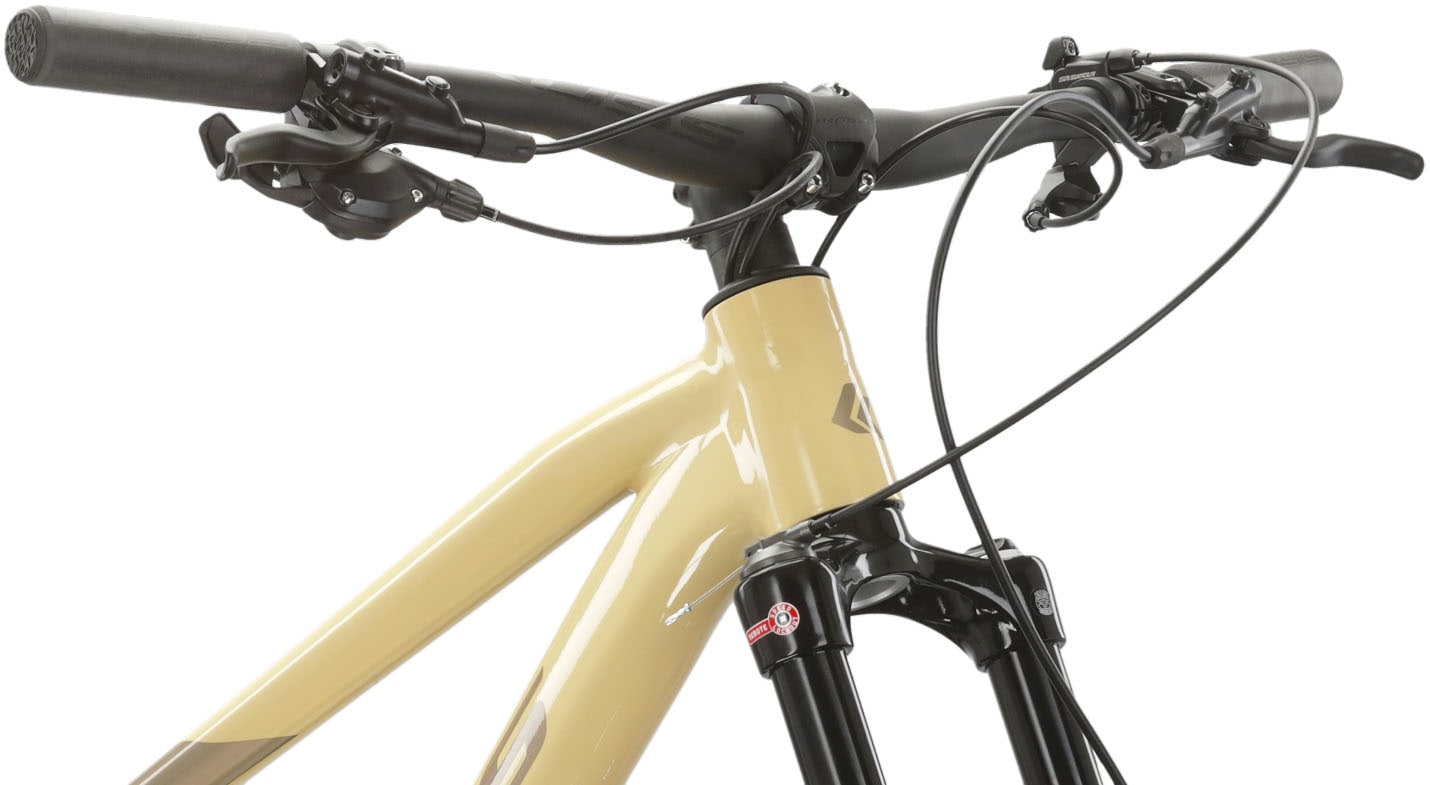 Kross Mountainbike »KROSS MTB Hardtail Level 6.0 29" braun 12 Gänge«, 12 Gang, SRAM, NX EAGLE Schaltwerk, Kettenschaltung