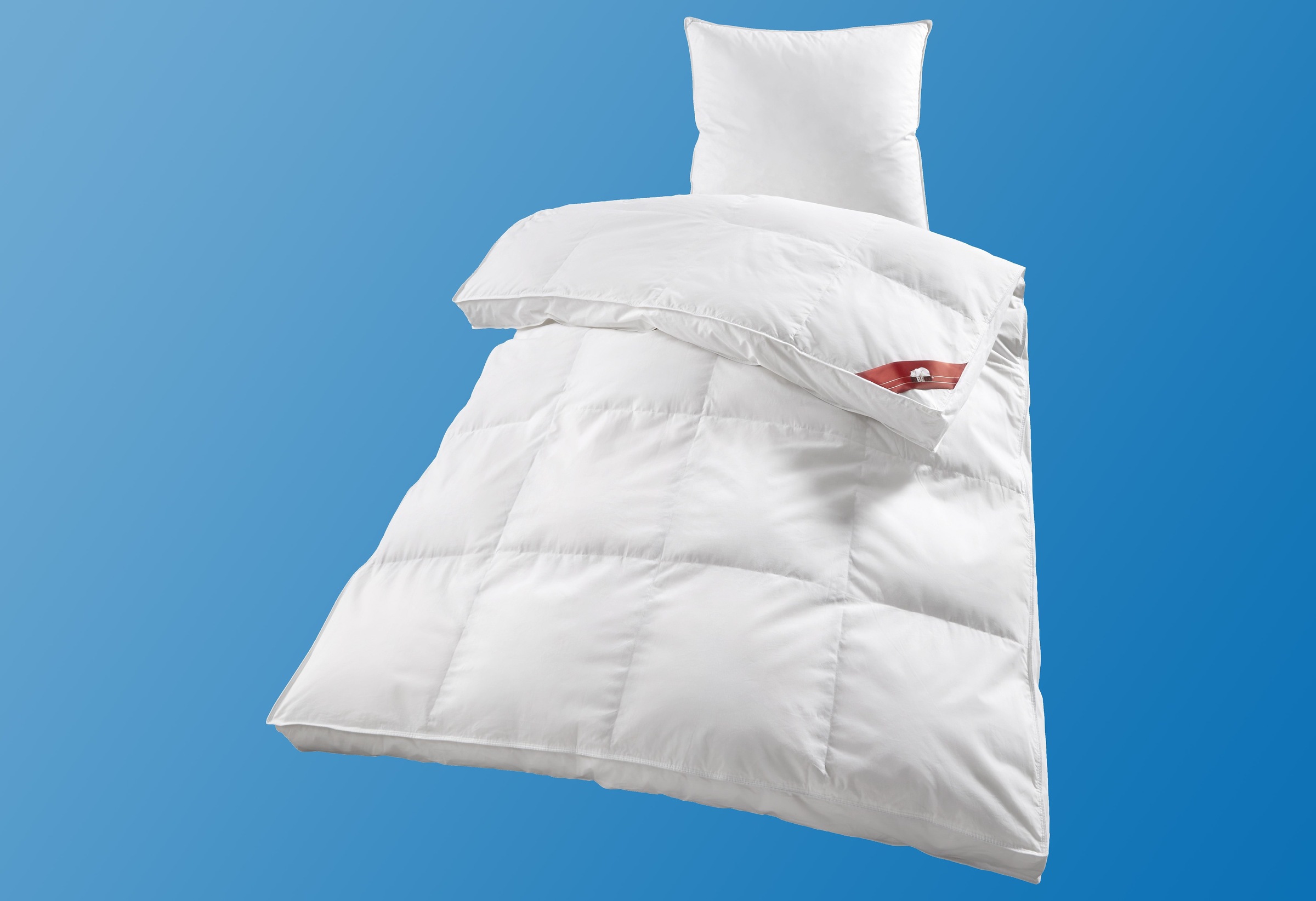 RIBECO Daunenbettdecke "Emily" extrawarm Füllung 80% Daunen und 20% Federn günstig online kaufen