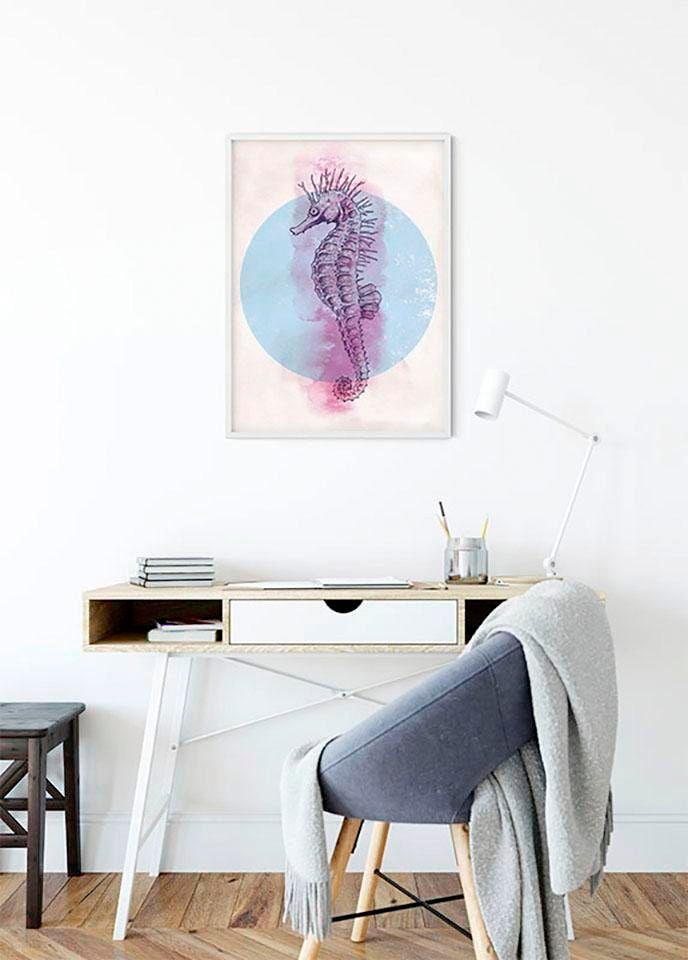 Komar Poster »Sea Horse Circle«, Tiere, (1 St.), Kinderzimmer, Schlafzimmer,  Wohnzimmer | BAUR | Poster