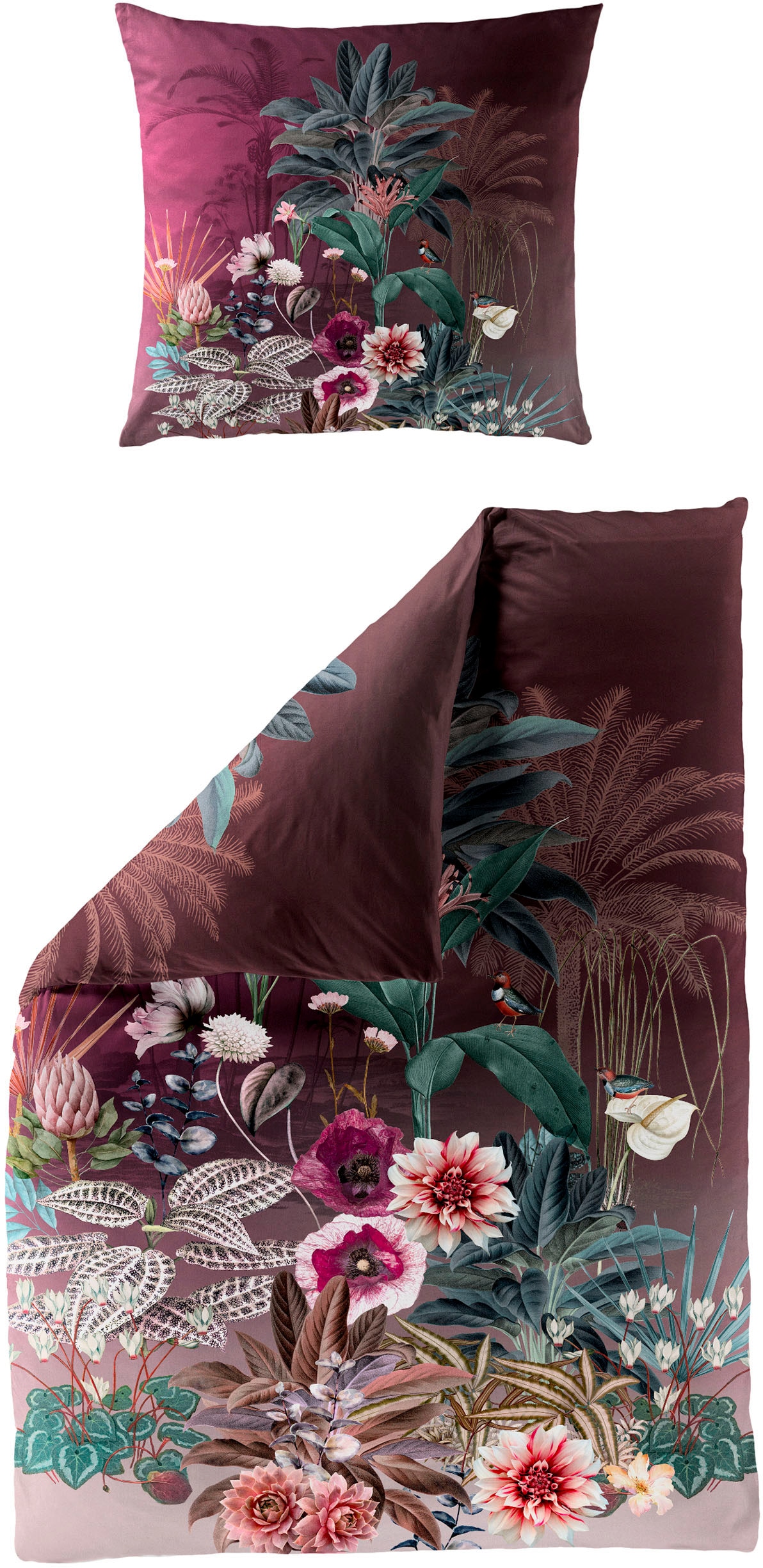 BIERBAUM Bettwäsche "5283" 2 Stk. tlg. Mako-Satin, 100 % Baumwolle, pflegel günstig online kaufen