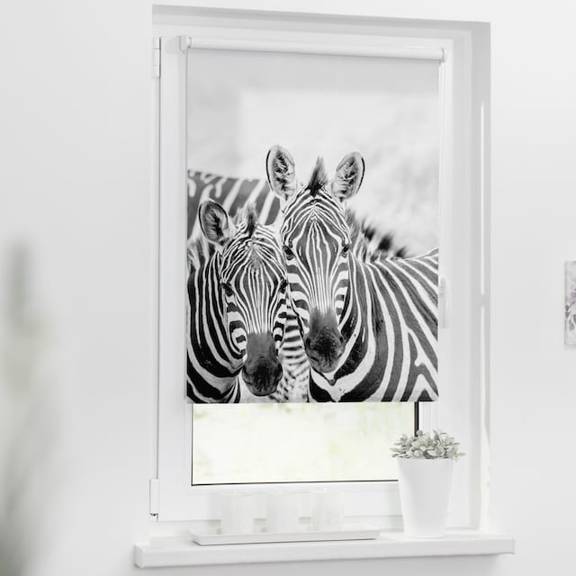 Motiv freihängend, Zebra«, LICHTBLICK »Klemmfix Bohren, | Lichtschutz, BAUR bedruckt ORIGINAL Seitenzugrollo ohne