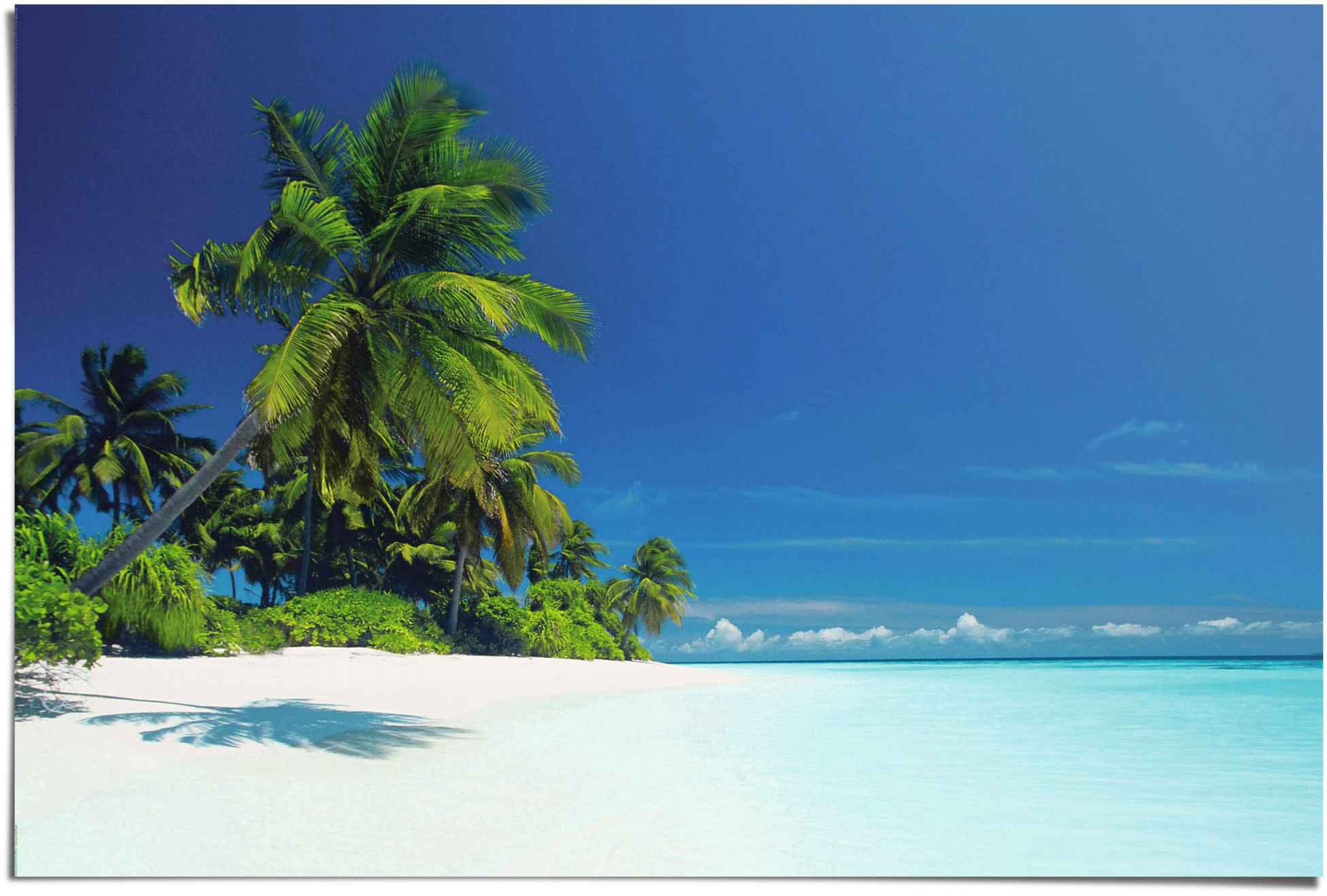 Reinders Poster "Palmenstrand" 1 tlg. günstig online kaufen