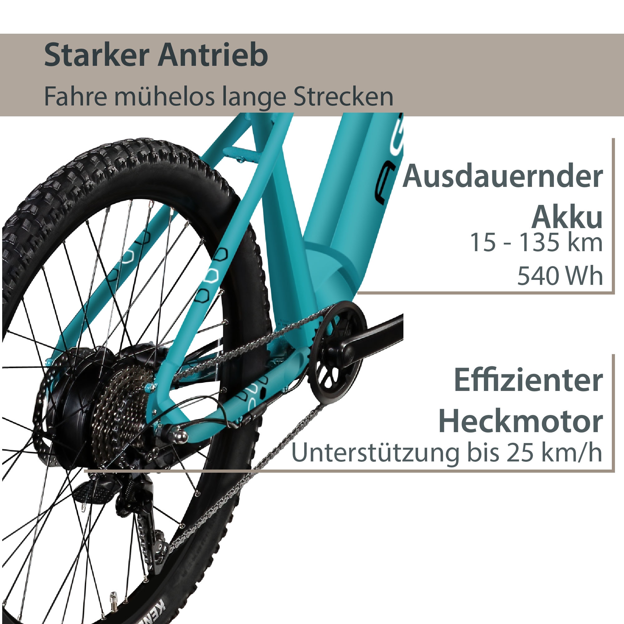AGON E-Bike »Alpha«, 10 Gang, Shimano, Deore SGS T6000, Heckmotor 250 W, Pedelec, Elektrofahrrad für Damen u. Herren, MTB
