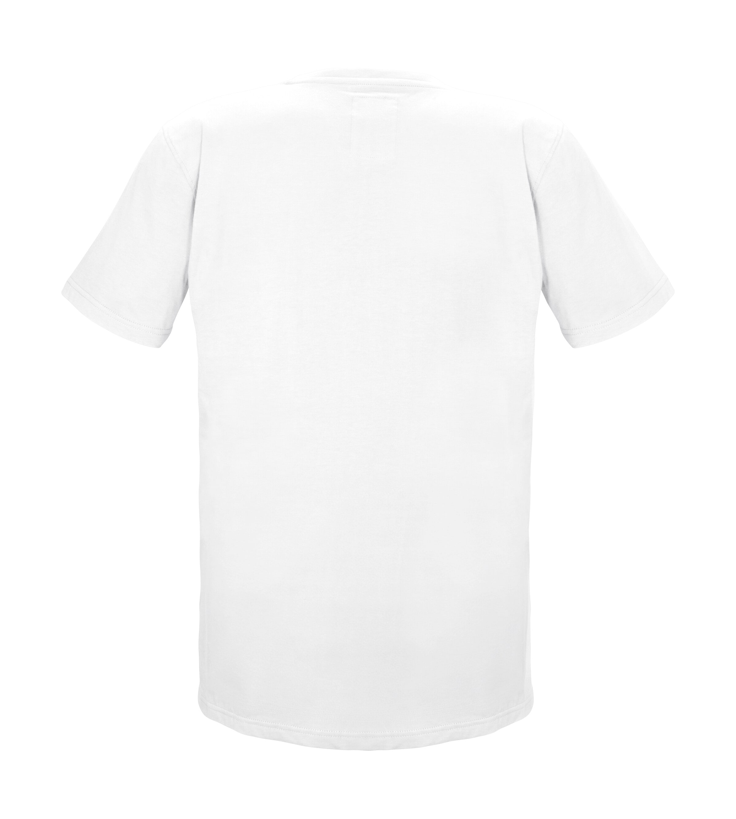 G.I.G.A. DX by killtec T-Shirt »GS 2 MN TSHRT GOTS«, GOTS-zertifiziertes Bio-Baumwollshirt mit großem Brustprint
