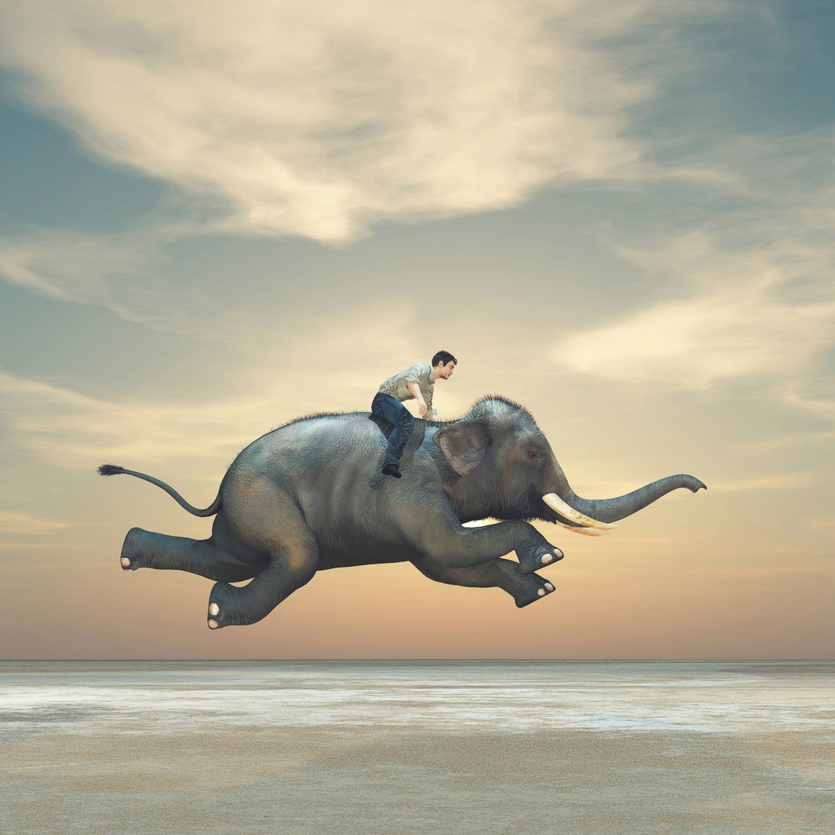 Papermoon Fototapete "Mann auf Elefant"