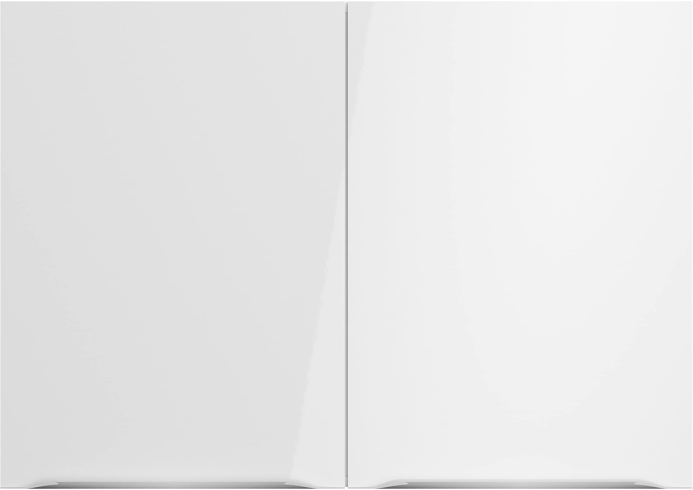 OPTIFIT Hängeschrank »Lilly2«, Breite 100 cm, 2 Türen, 4 Einlegeböden