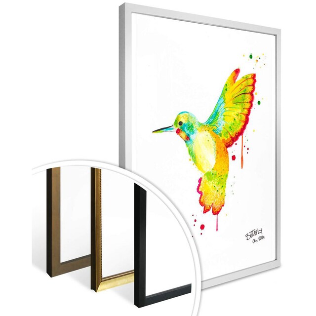 Wall-Art Poster »Kolibri«, Vögel, (1 St.), Poster, Wandbild, Bild,  Wandposter bestellen | BAUR