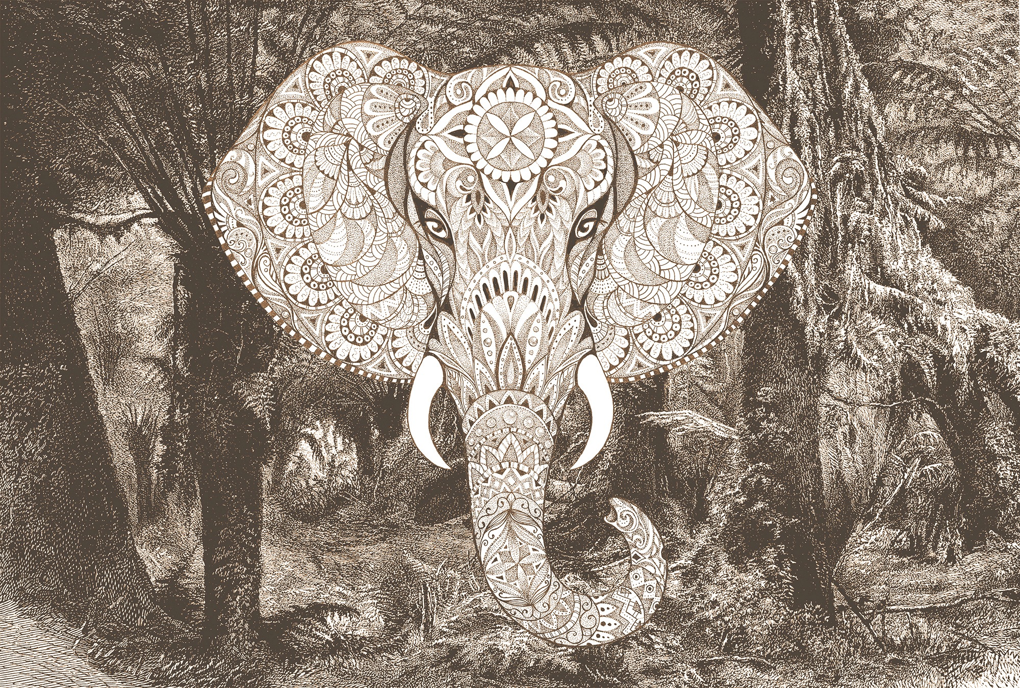 Architects Paper Fototapetas »Atelier 47 Elephant Head ...