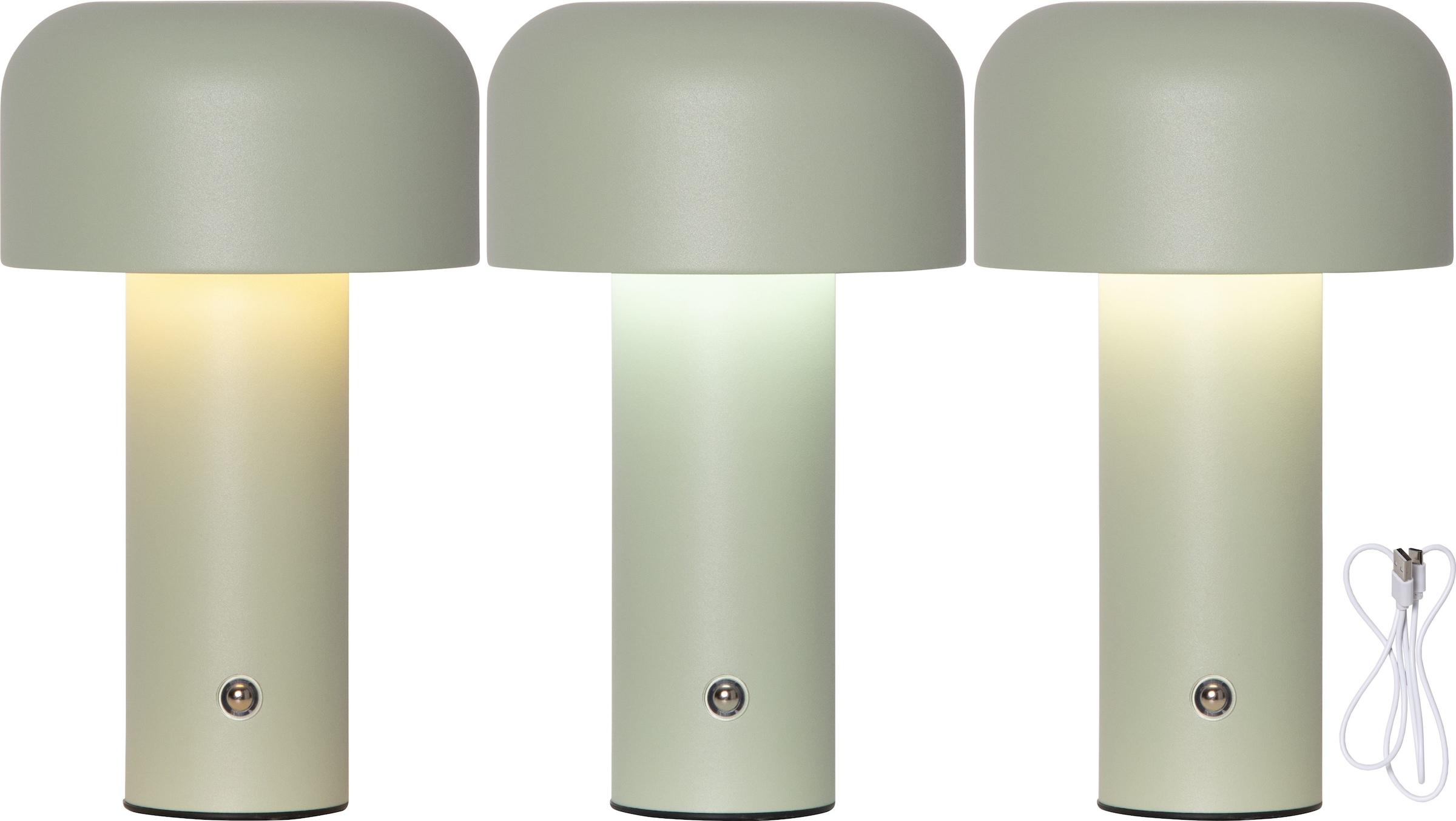 Parforce Traditional Hunting LED Tischleuchte »Tischlampe Bobby« LED-Board 1 Stk. warmweiß - kaltweiß Akku-Tischleuchte, 3 Lichtfarben, Touch-Dimmer am Fuß, USB-C-Ladekabel