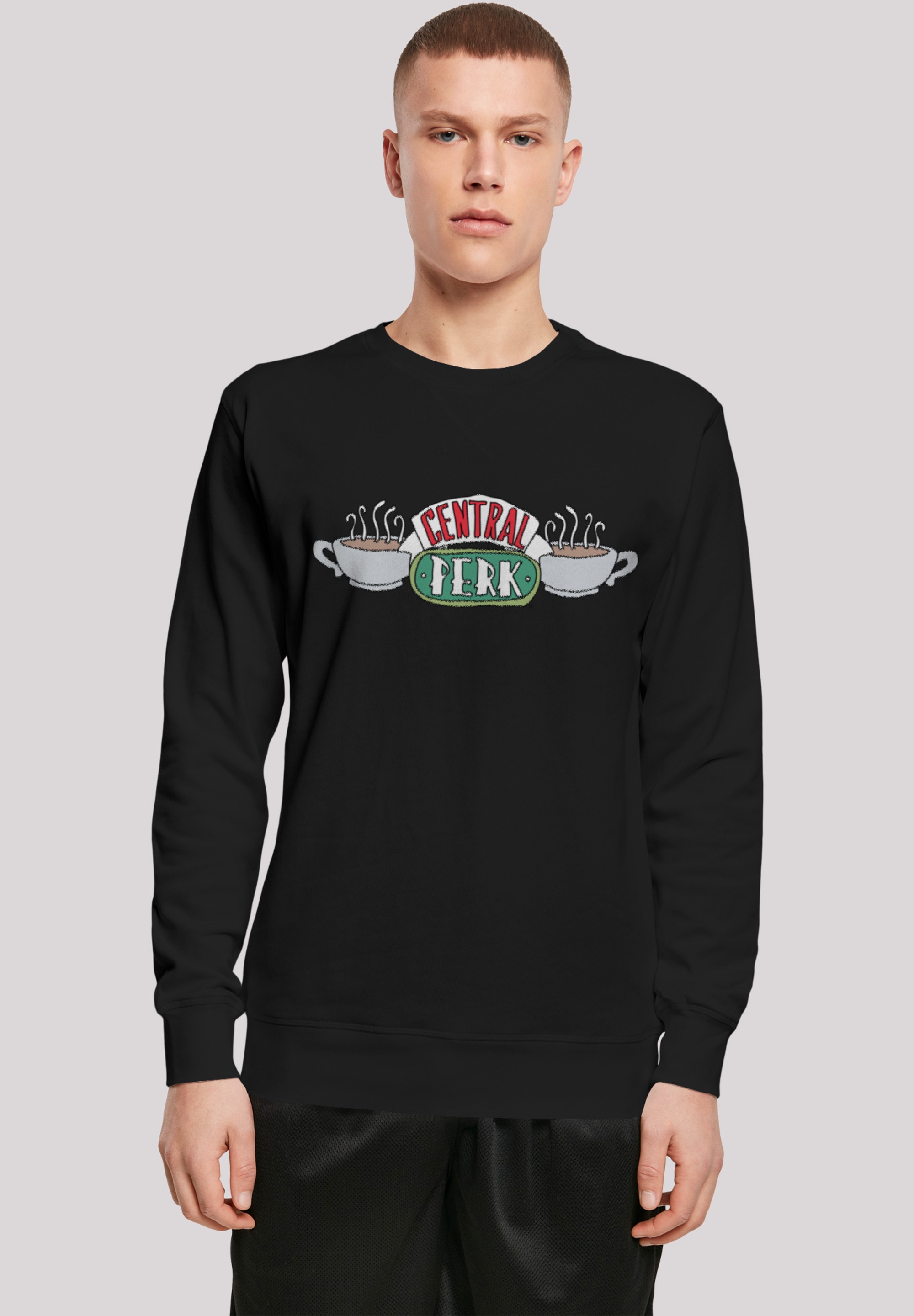 F4NT4STIC Rundhalspullover »F4NT4STIC Herren«, (1 tlg.)