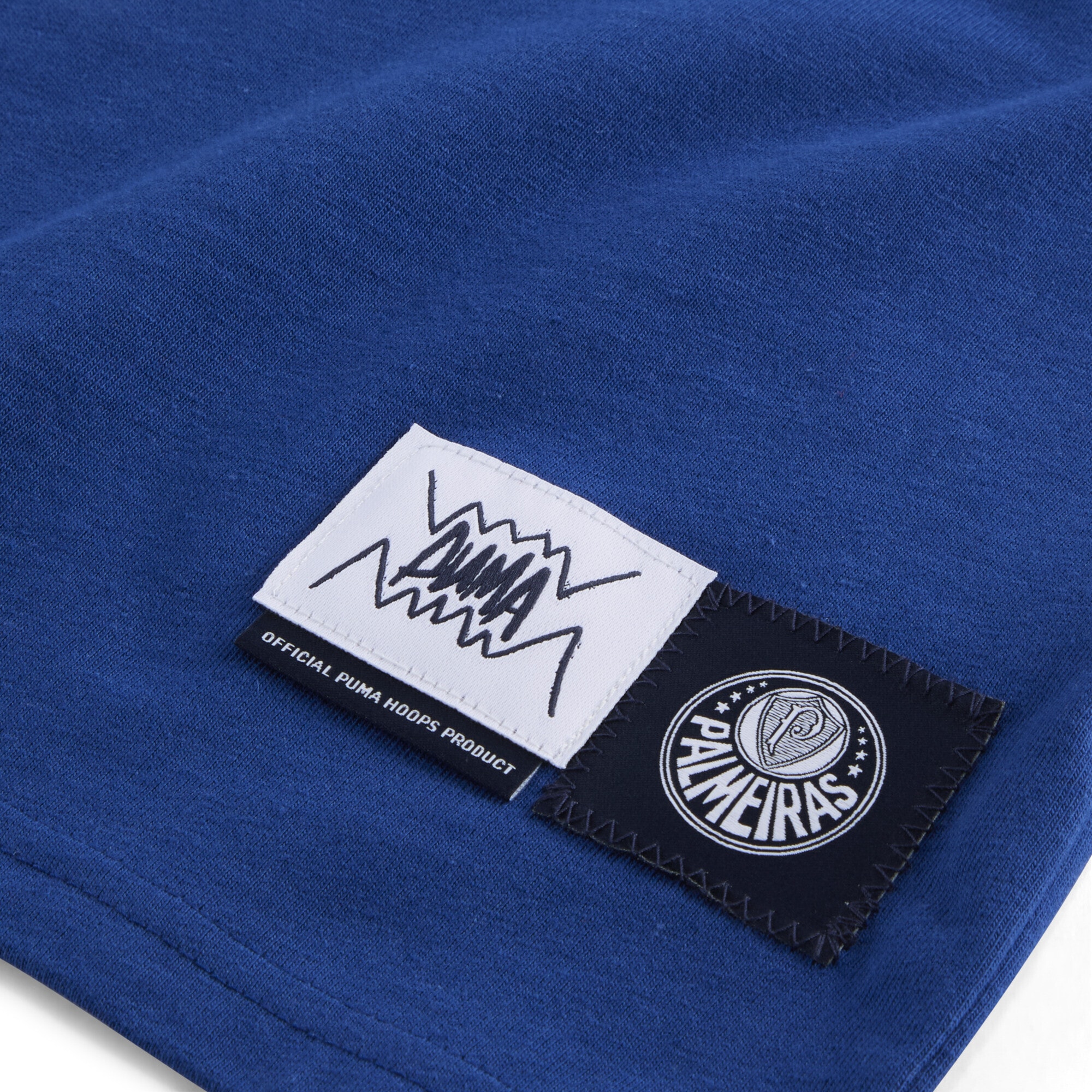 PUMA Trainingsshirt »PUMA HOOPS x SE PALMEIRAS Basketballshirt Herren«
