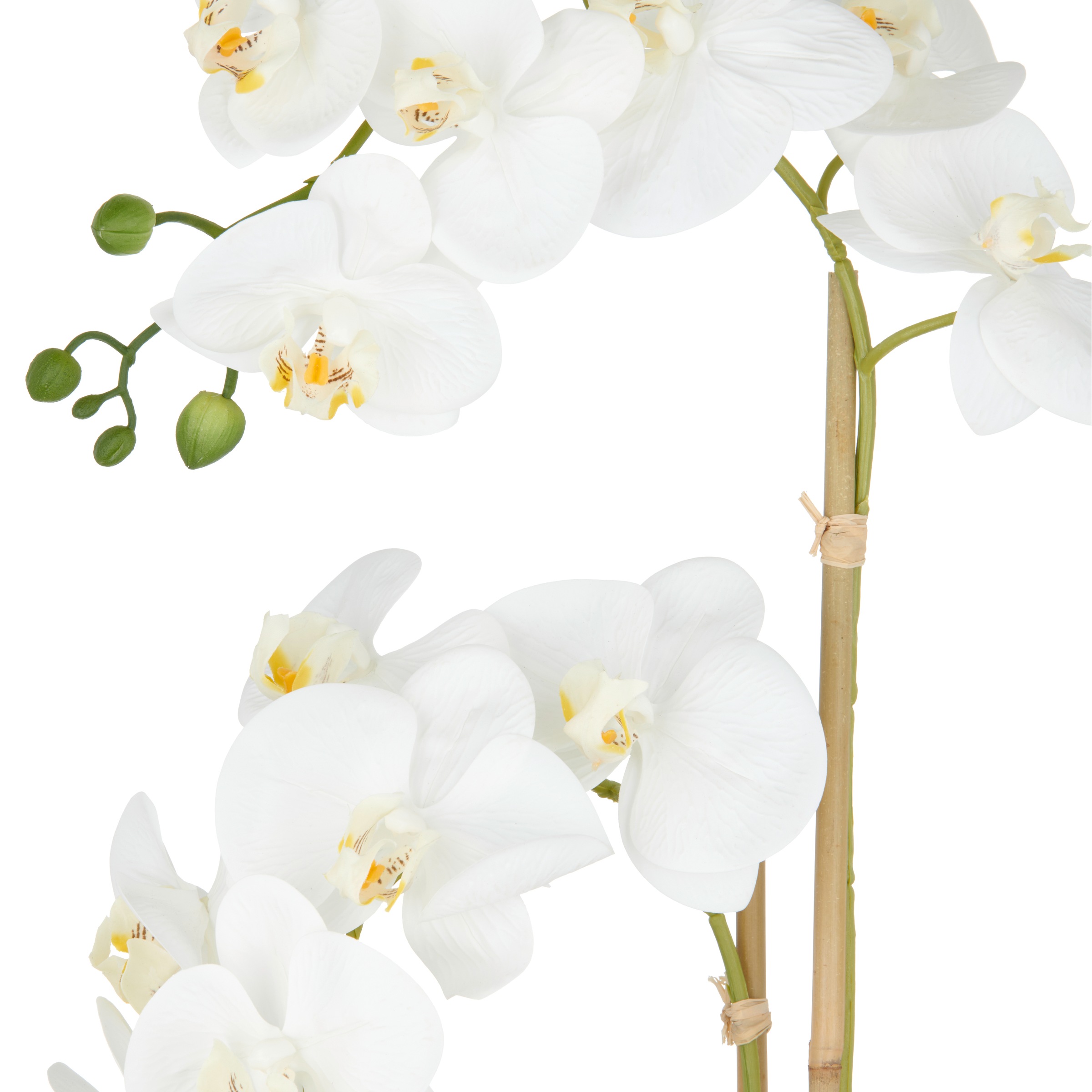 Creativ green Kunstorchidee »Orchidee Phalaenopsis«, im Design-Topf