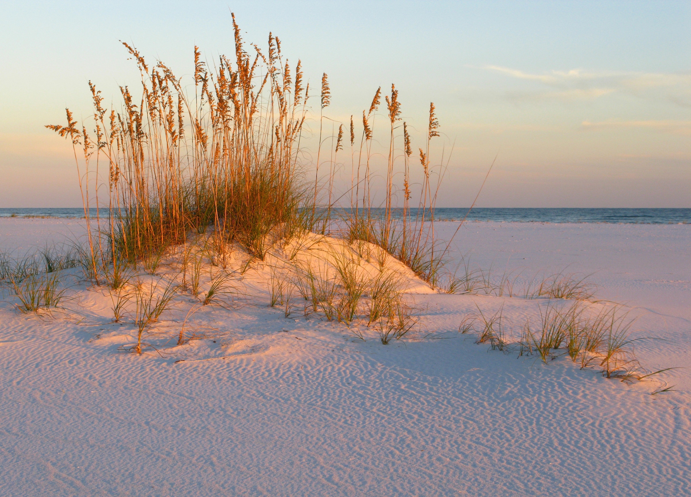 Papermoon Fototapete »DÜNEN- MEER SEE KÜSTE NORDSEE OSTSEE STRAND SYLT GRAS«