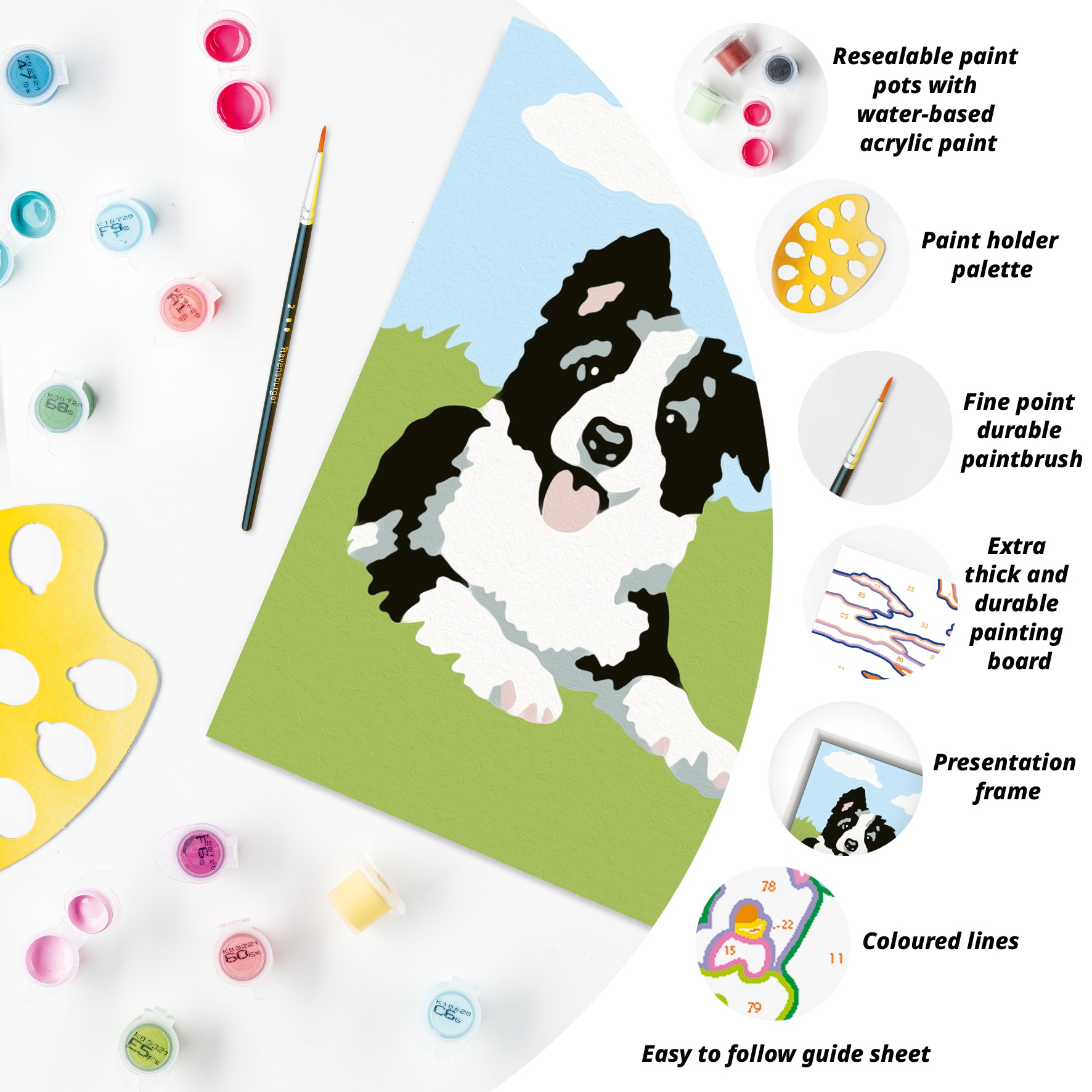 Ravensburger Malen nach Zahlen »CreArt, Border Collie Welpe«, Made in Europe