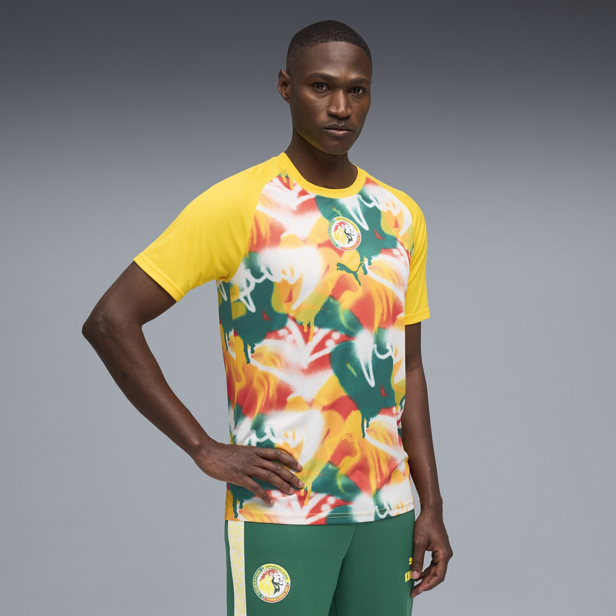 PUMA Trainingsshirt »Senegal Aufwärmtrikot Herren«
